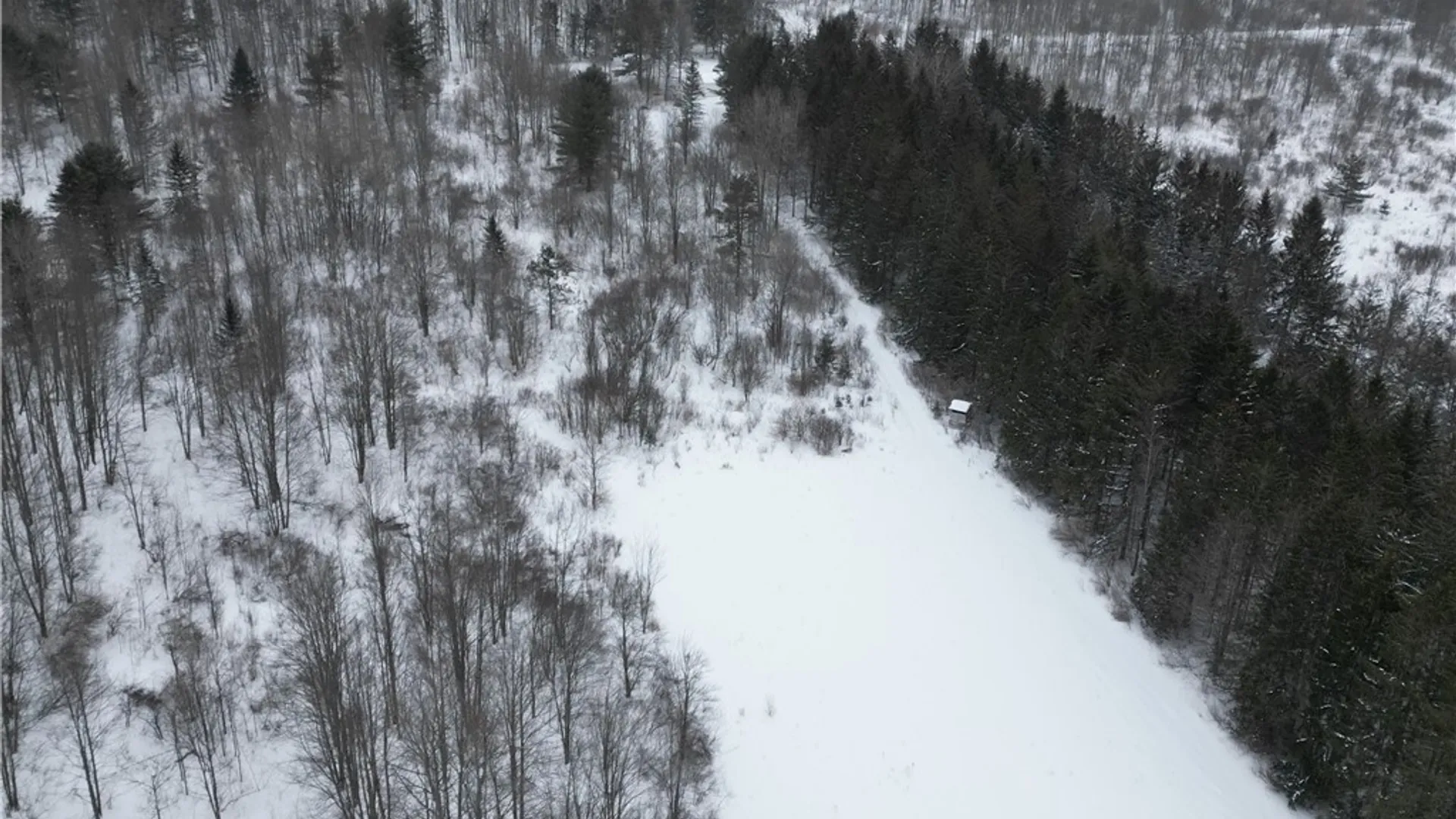 Property at 8486 Saunders Road, Caneadea, NY 14711 45