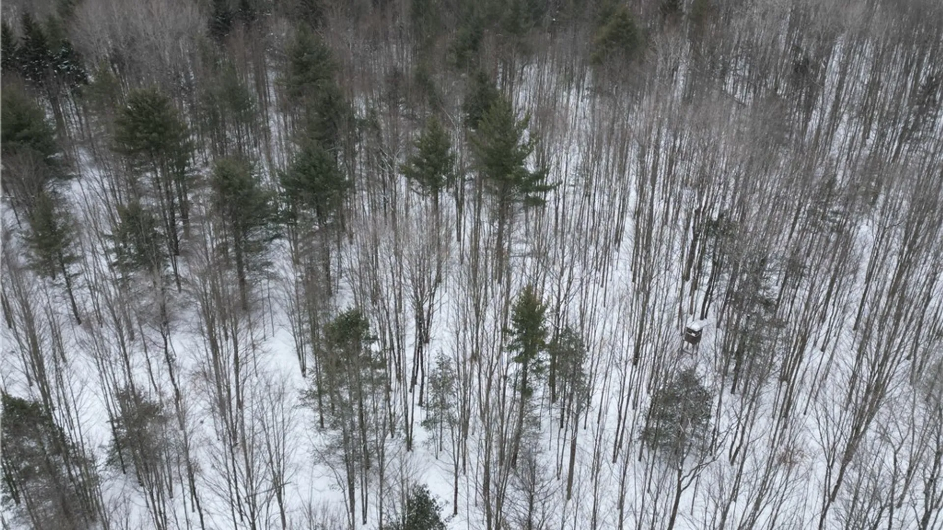 Property at 8486 Saunders Road, Caneadea, NY 14711 46