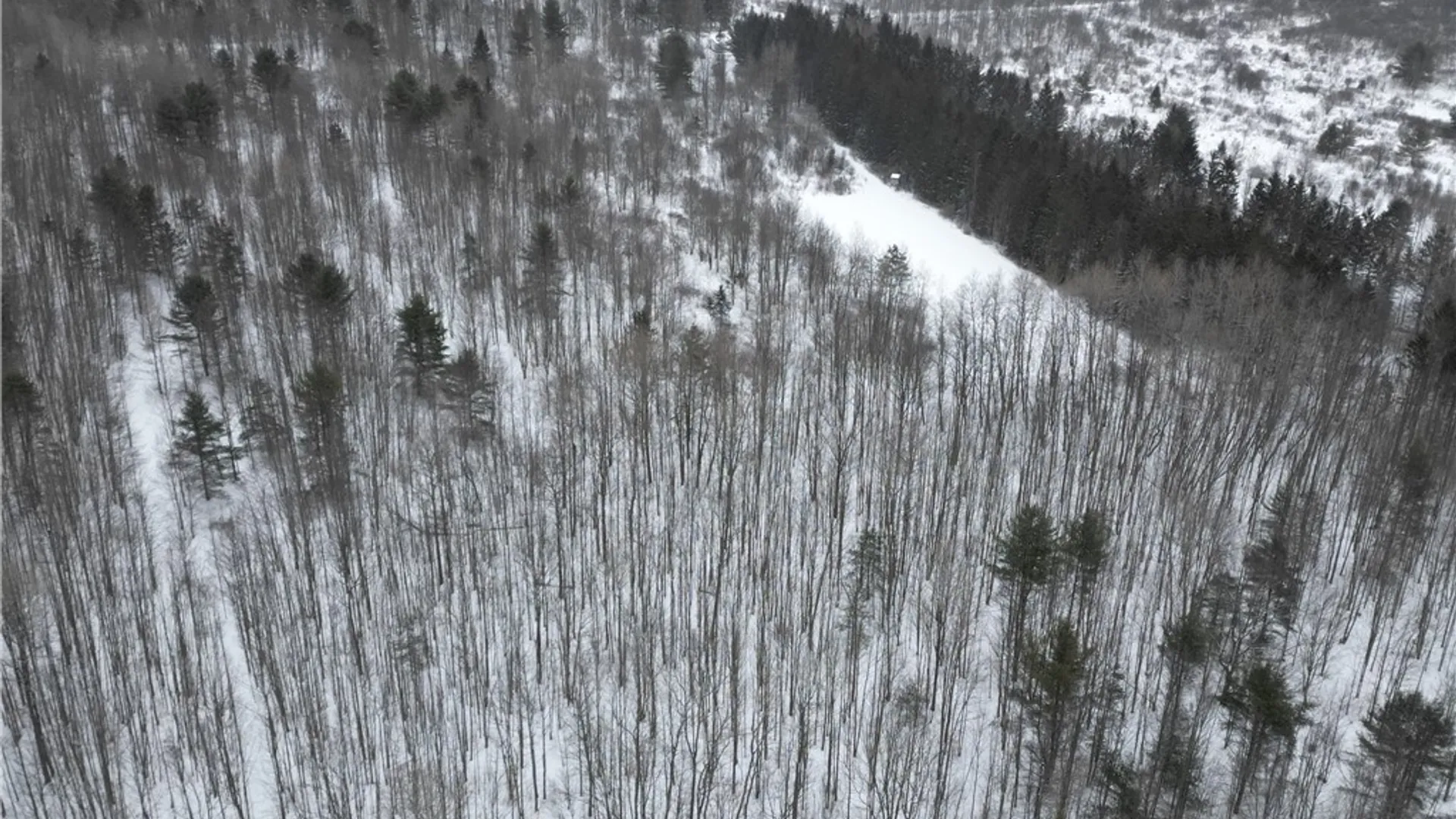 Property at 8486 Saunders Road, Caneadea, NY 14711 47