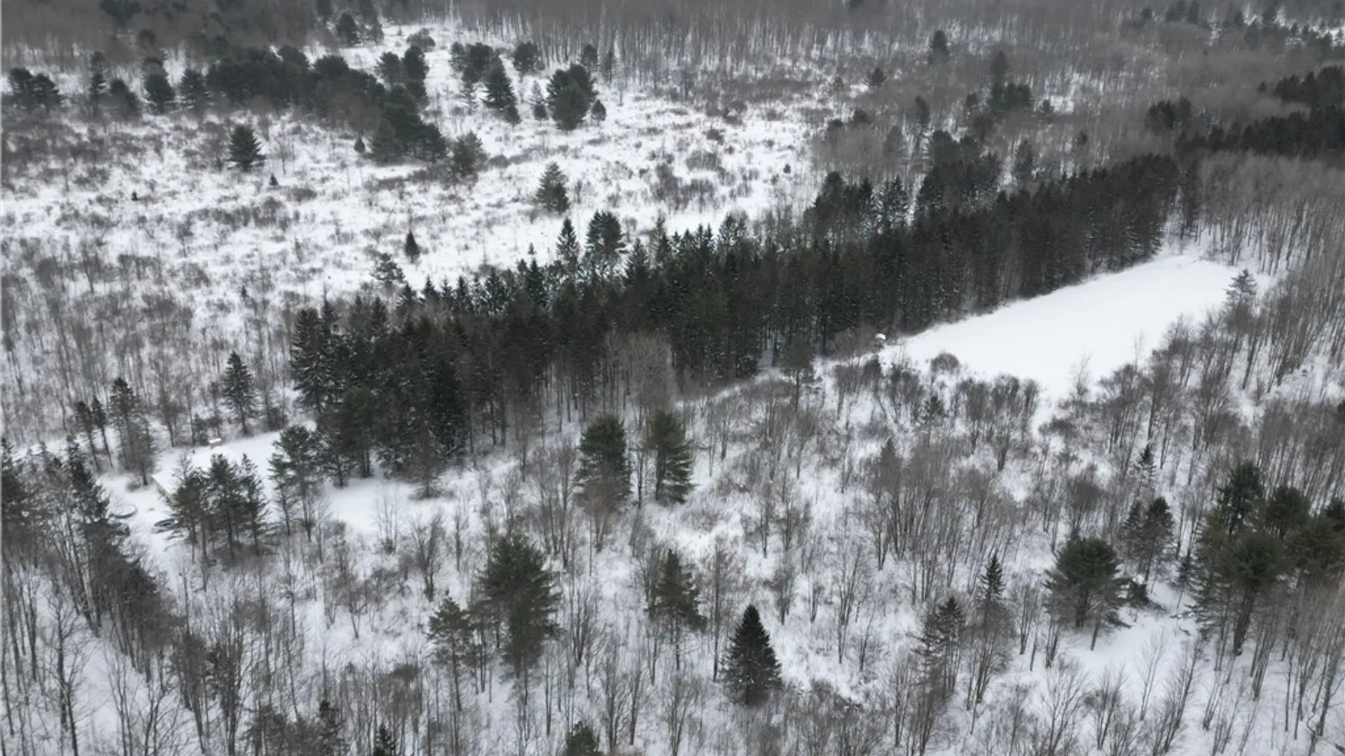 Property at 8486 Saunders Road, Caneadea, NY 14711 48