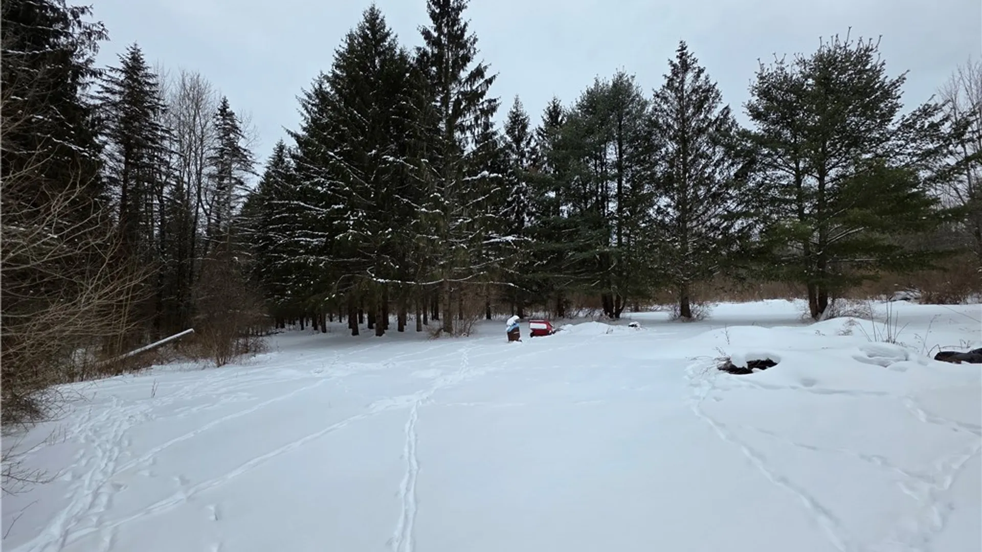 Property at 8486 Saunders Road, Caneadea, NY 14711 5