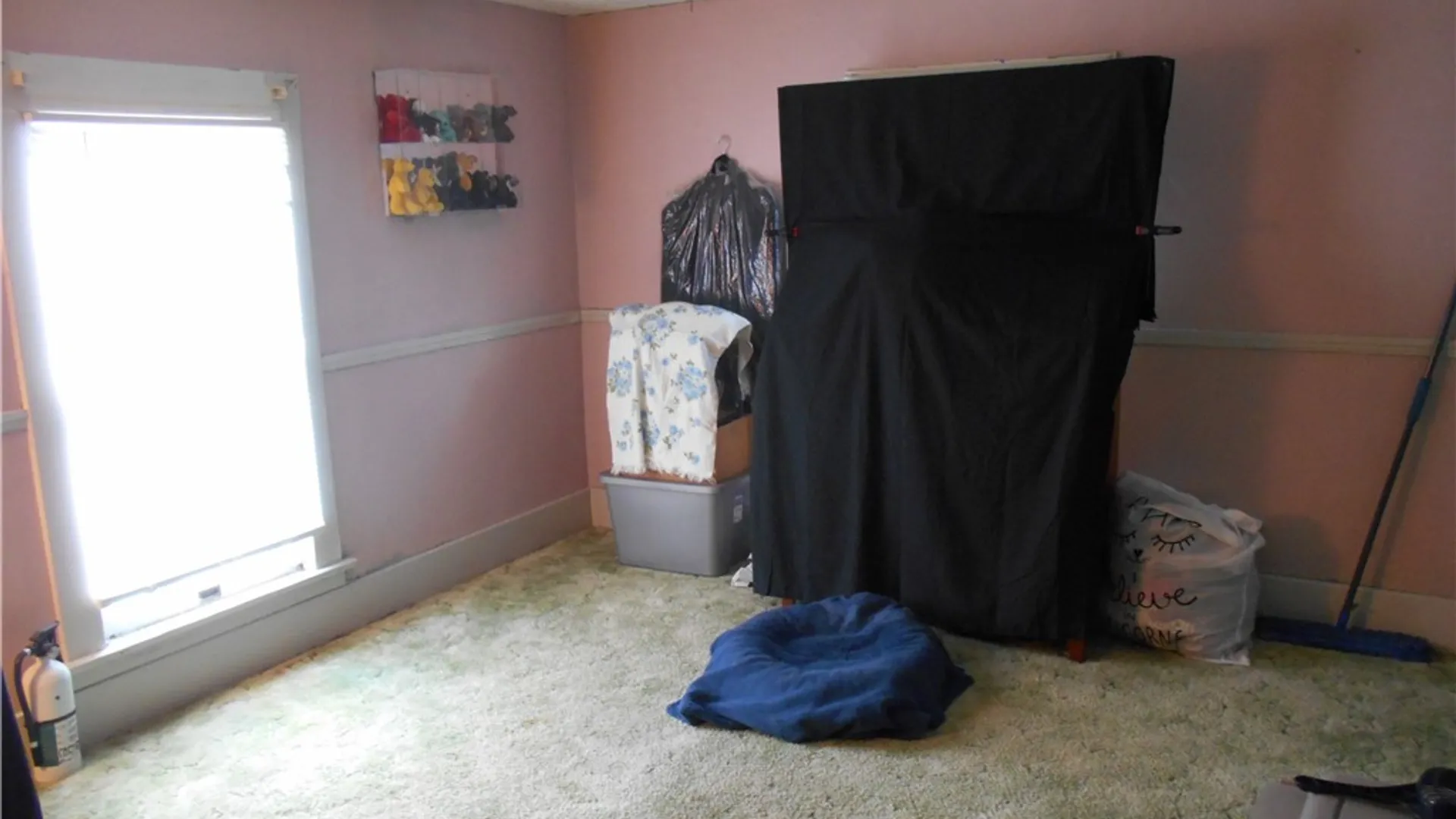 Property at 285 Fall Street, Seneca Falls, NY 13148 5