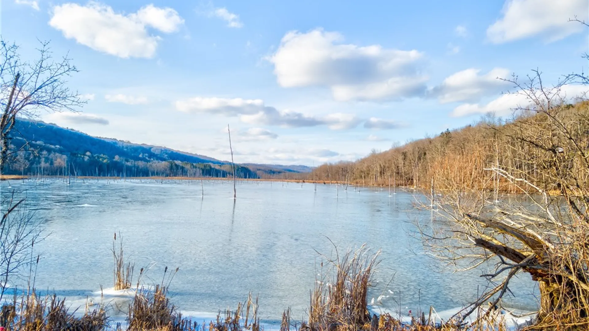 Property at 3250 Red Mill Road, Onondaga, NY 13120 3