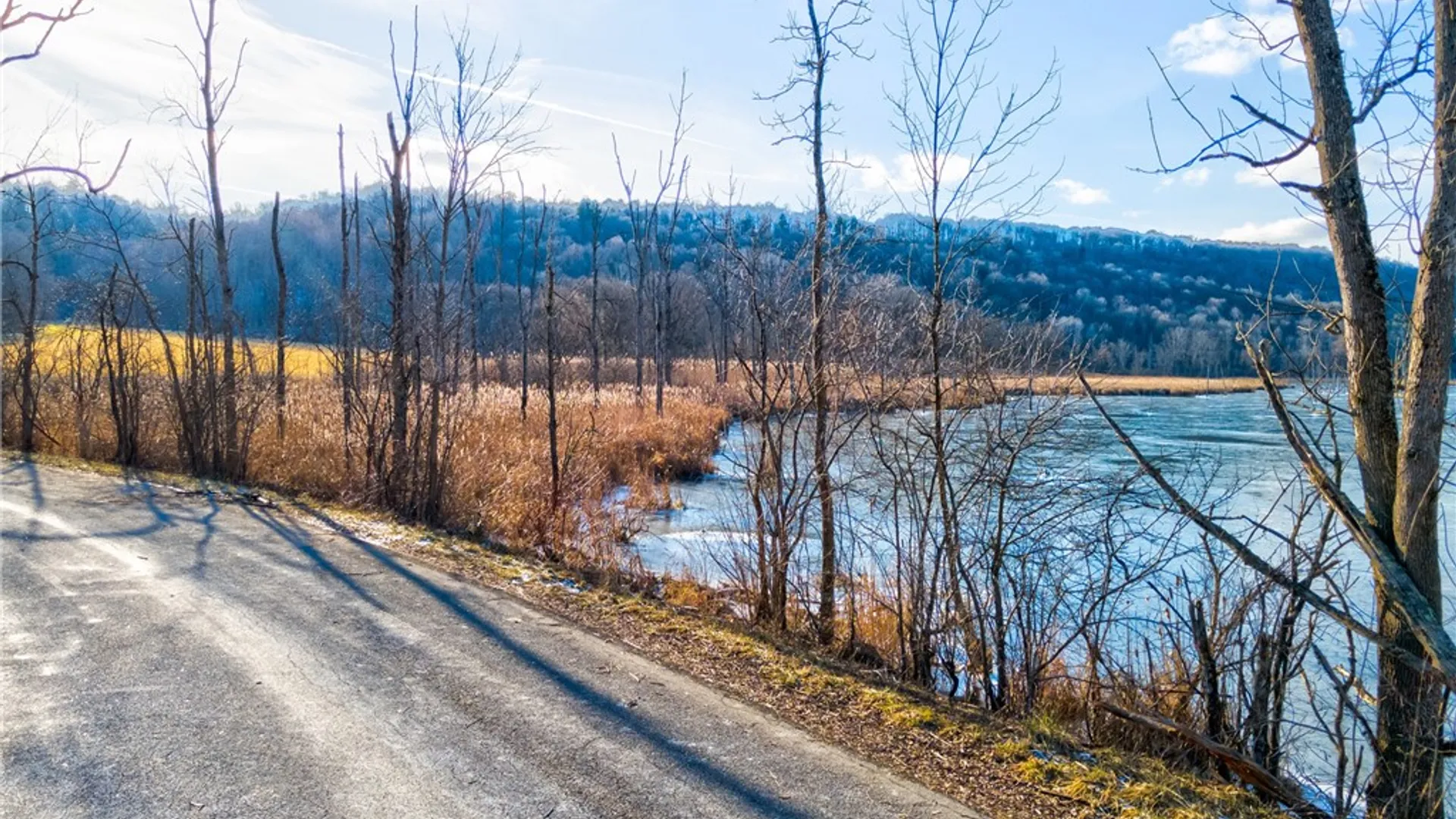 Property at 3250 Red Mill Road, Onondaga, NY 13120 7