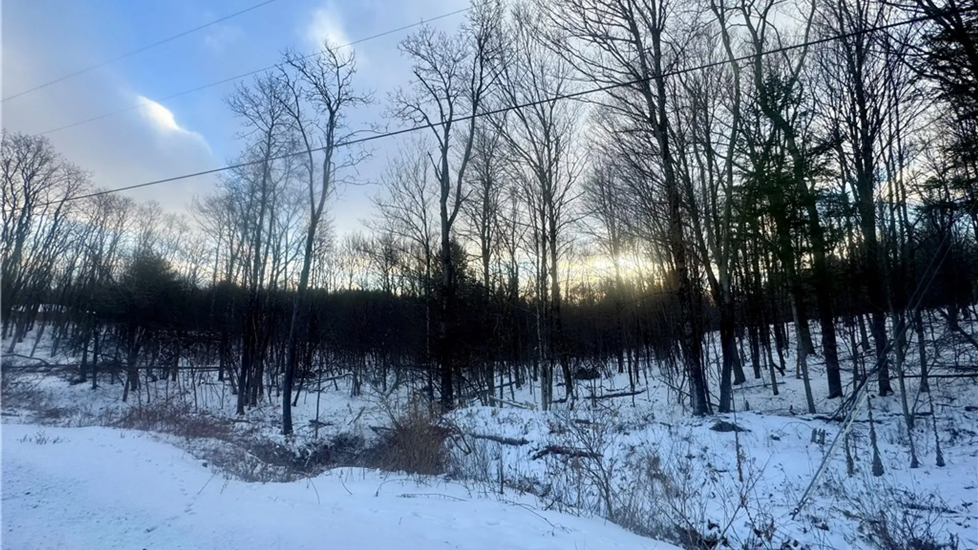 Property at 100 Balantic Hill Road, Laurens, NY 13796 2