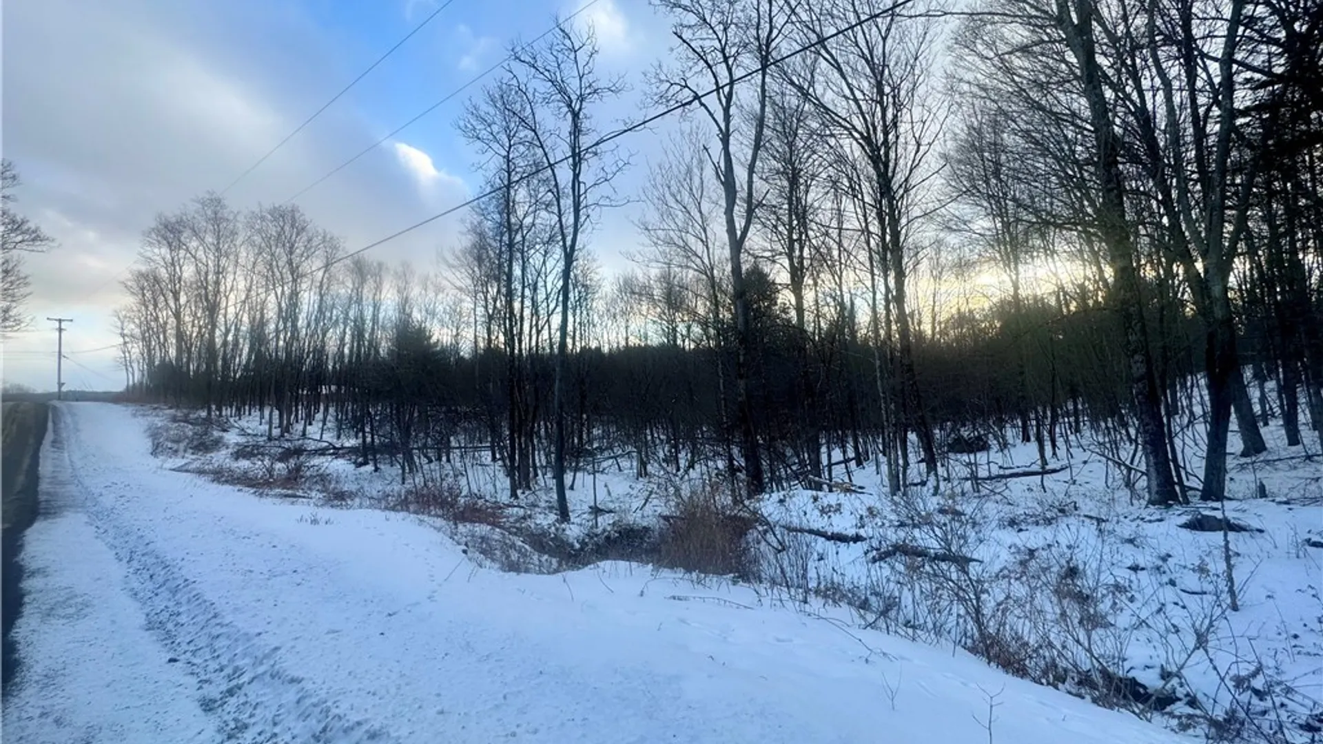 Property at 100 Balantic Hill Road, Laurens, NY 13796 4