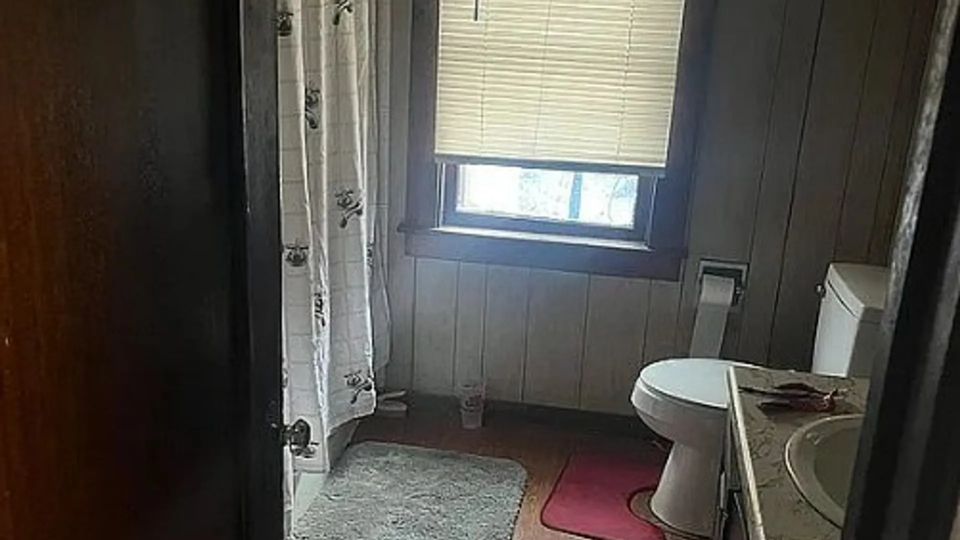 Property at 218 Chestnut Street, Elmira City, NY 14904 11