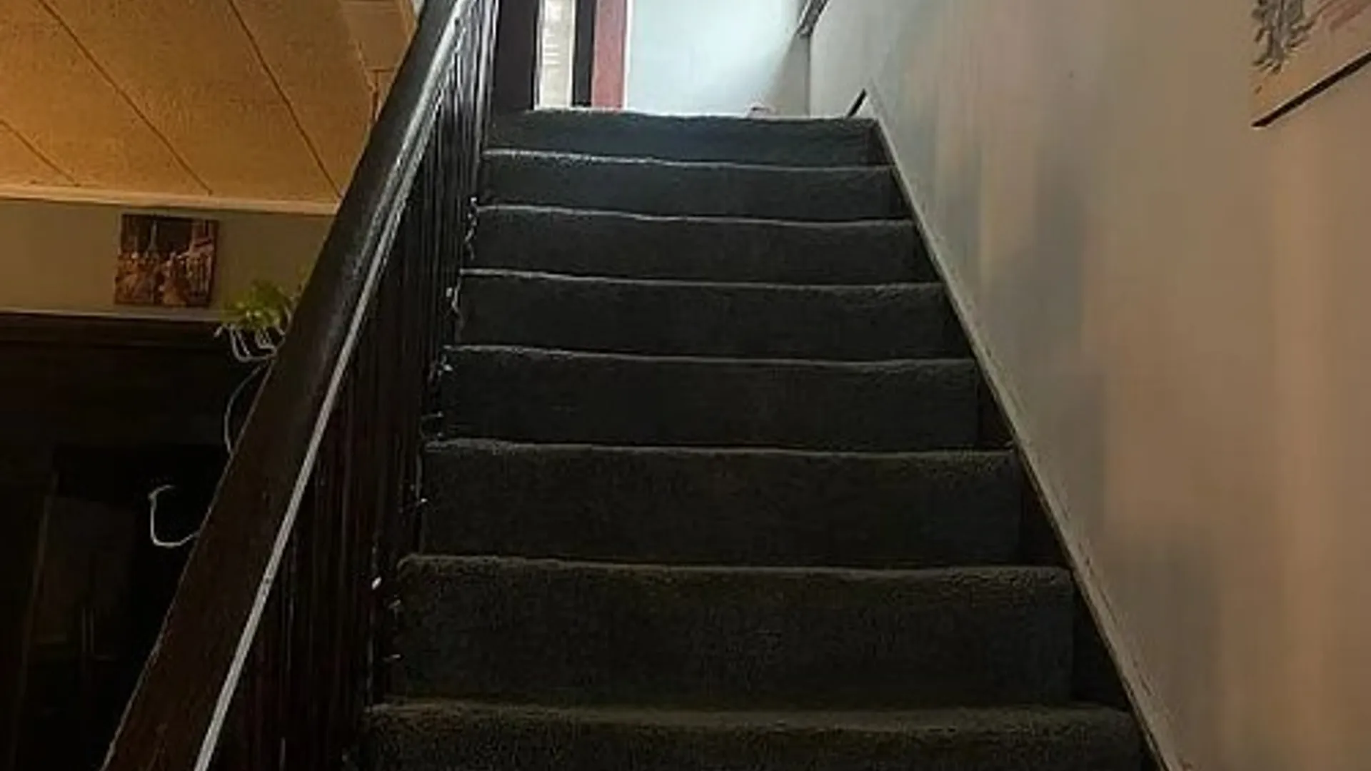 Property at 218 Chestnut Street, Elmira City, NY 14904 13