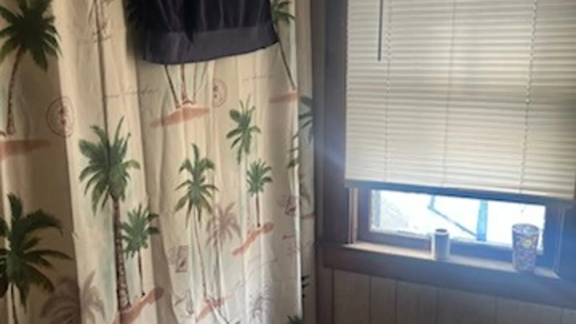 Property at 218 Chestnut Street, Elmira City, NY 14904 18