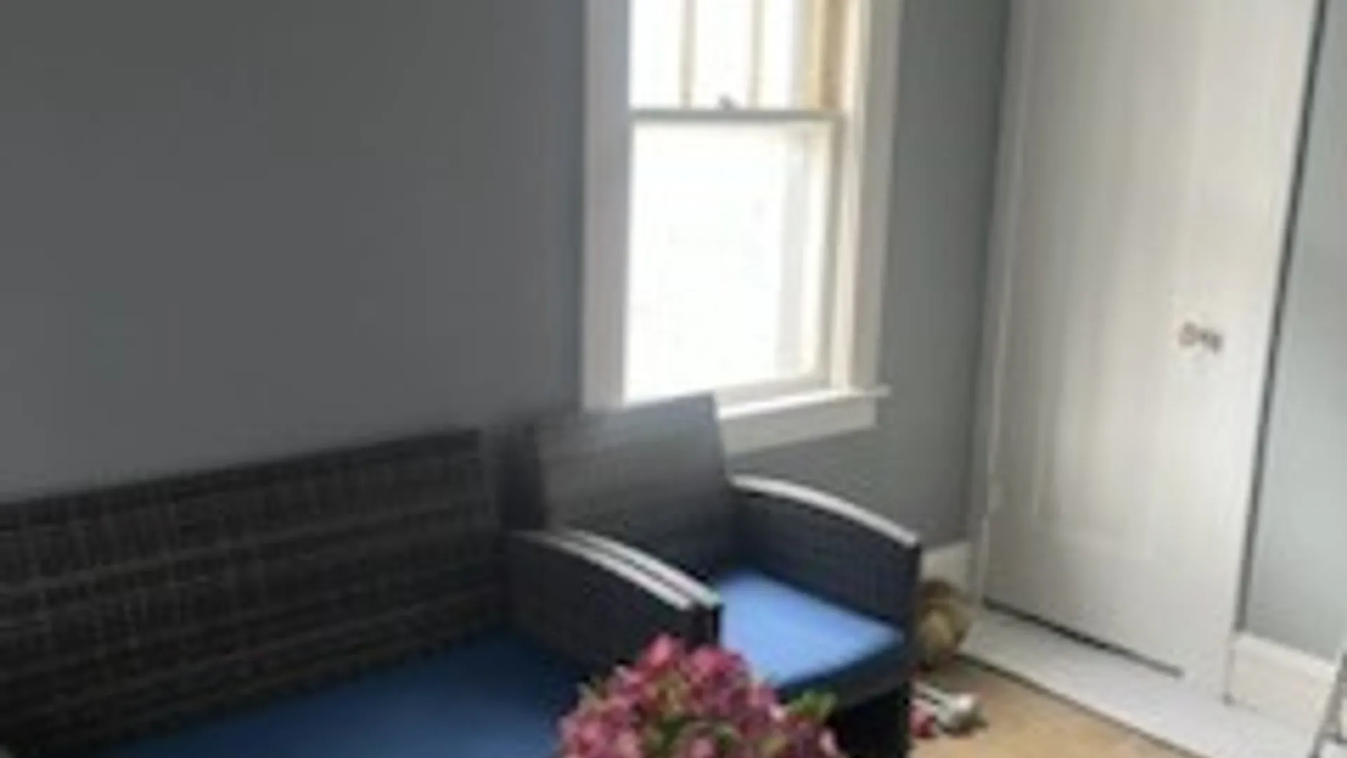 Property at 218 Chestnut Street, Elmira City, NY 14904 19