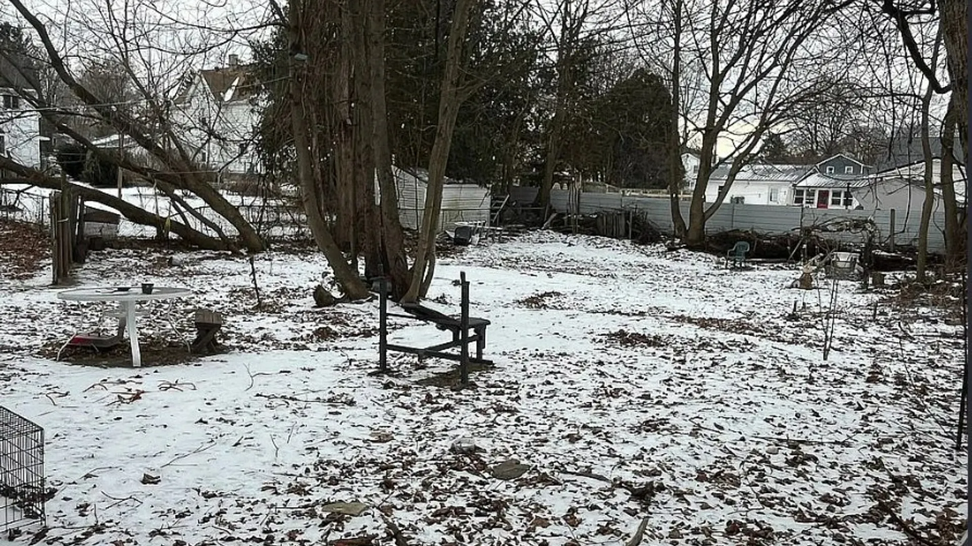 Property at 218 Chestnut Street, Elmira City, NY 14904 24