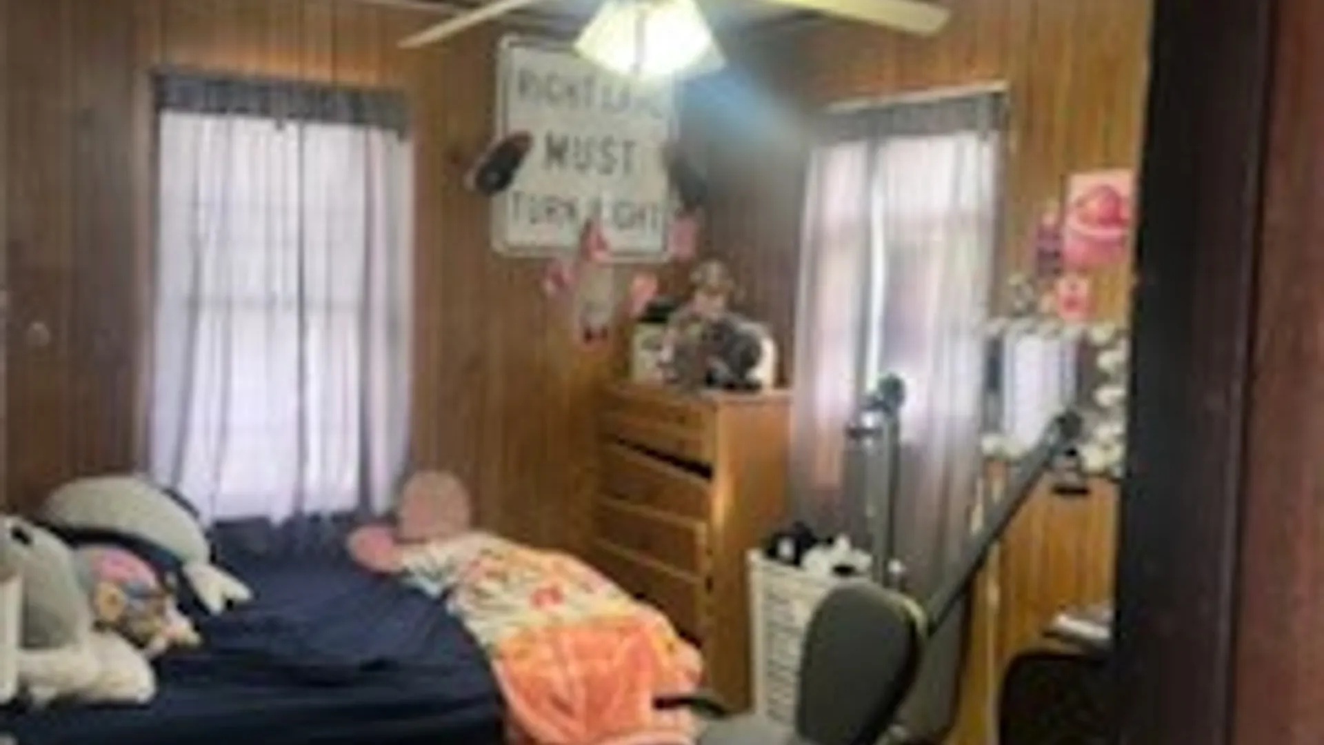 Property at 218 Chestnut Street, Elmira City, NY 14904 6