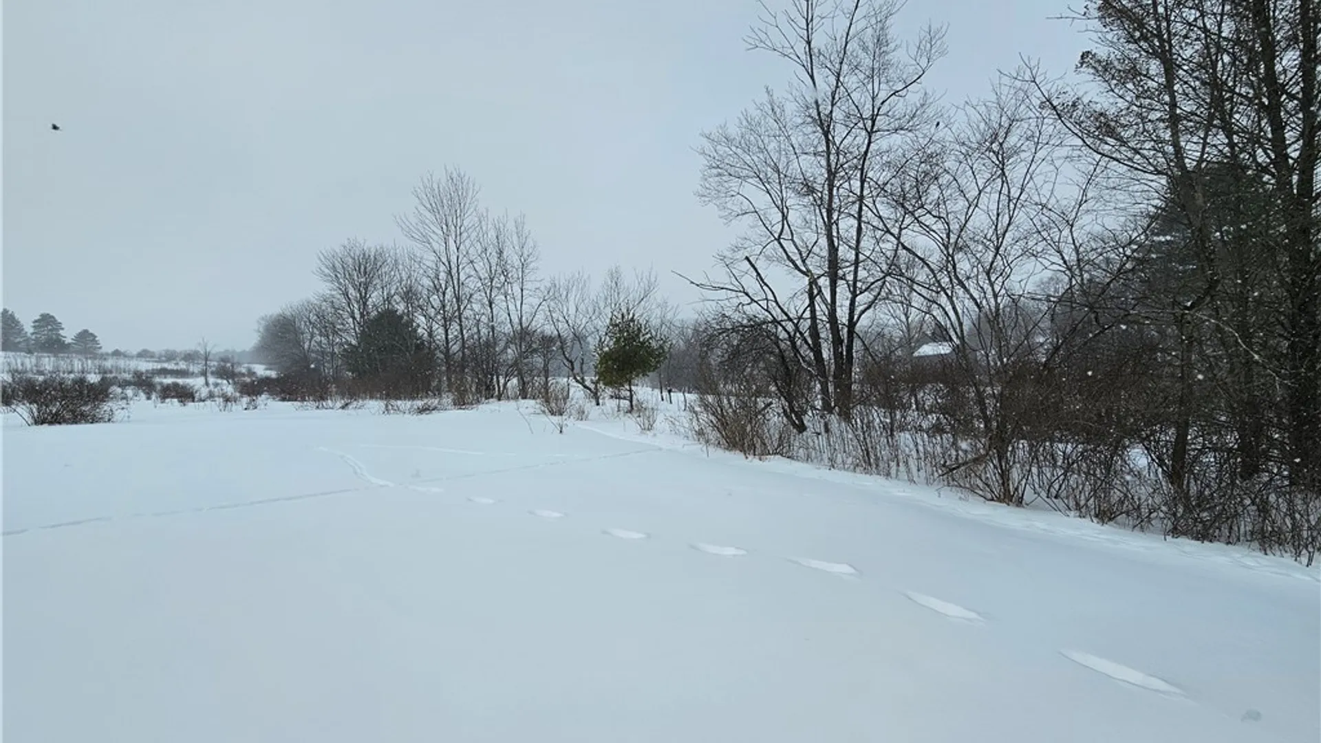 Property at 4449 Gile Hollow Road, Hinsdale, NY 14743 42