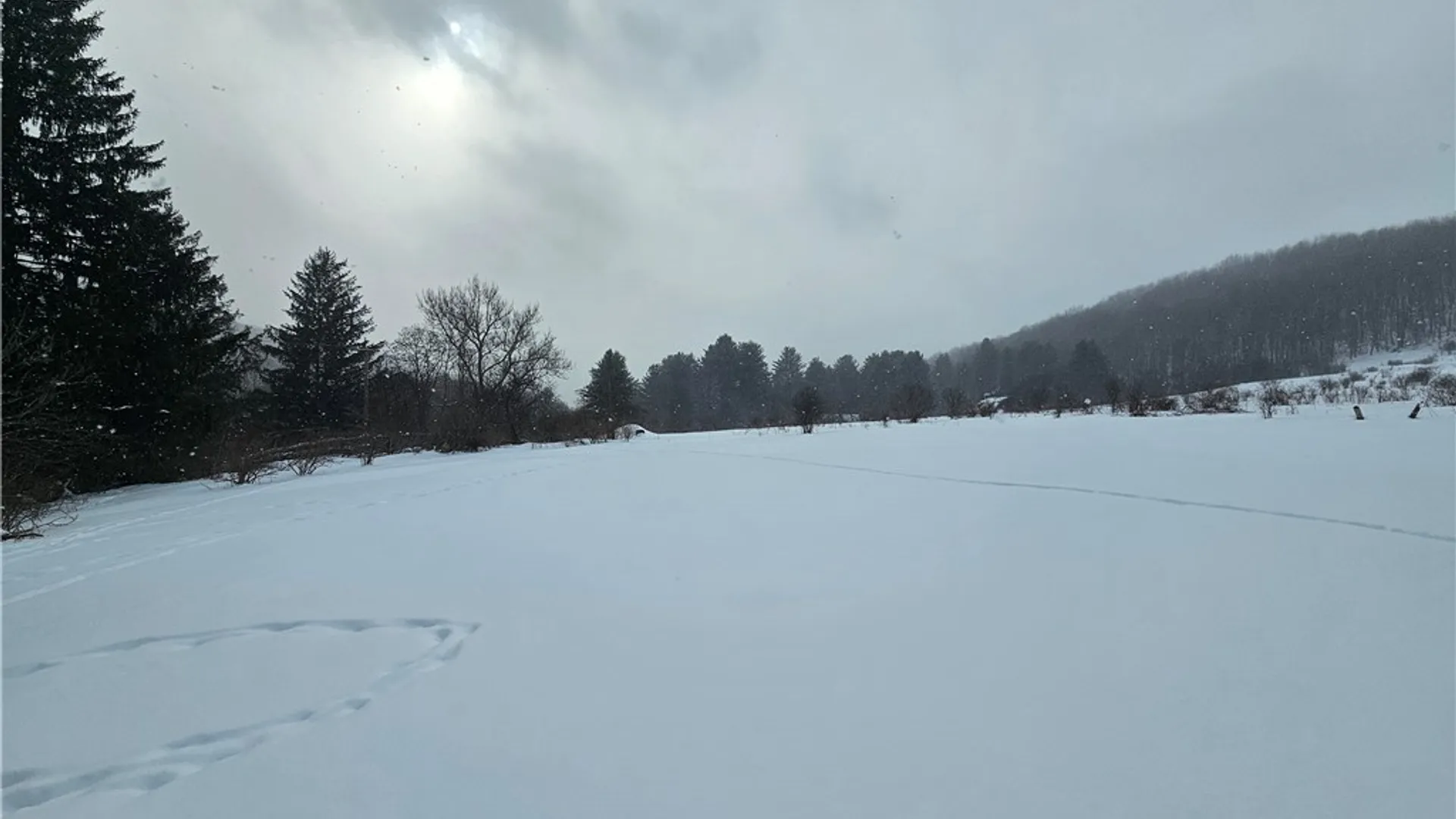 Property at 4449 Gile Hollow Road, Hinsdale, NY 14743 43