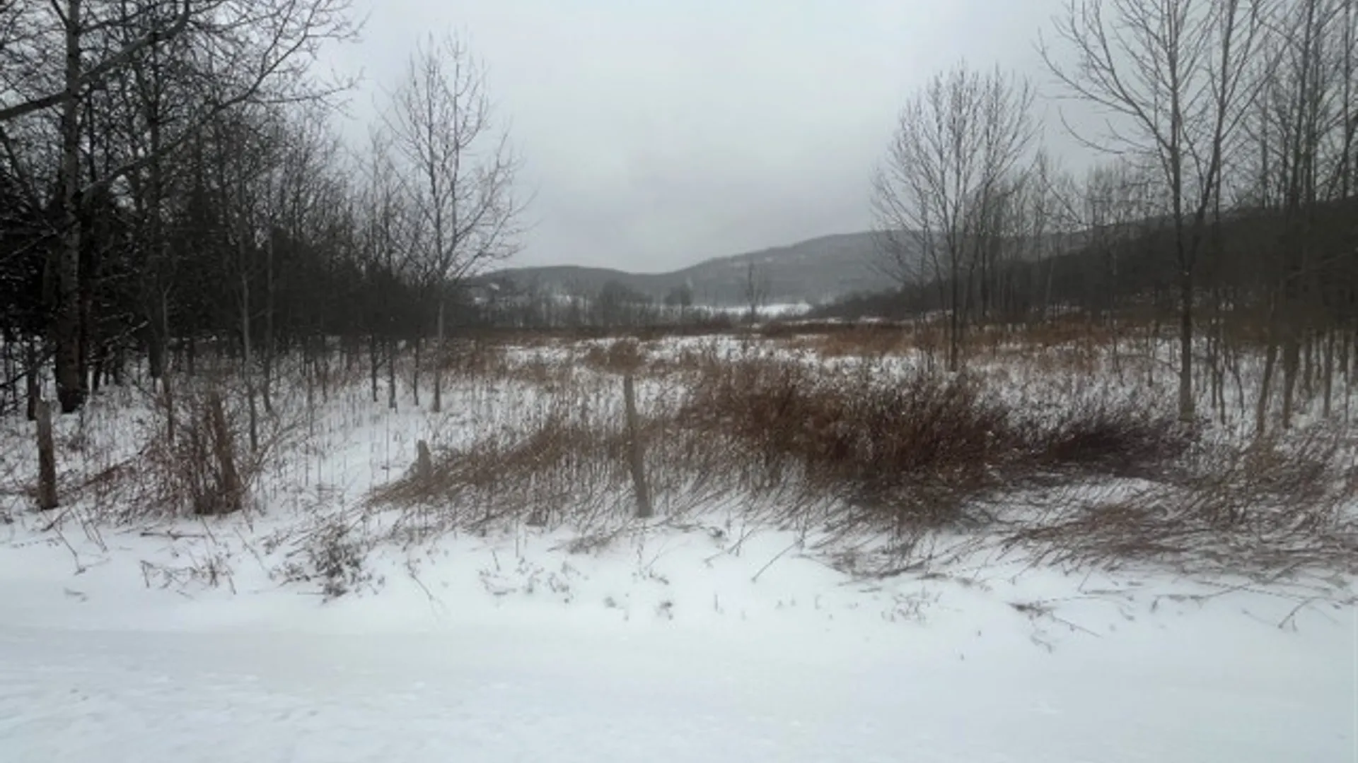 Property at Narrow Notch Road, Stamford, NY 12167 2
