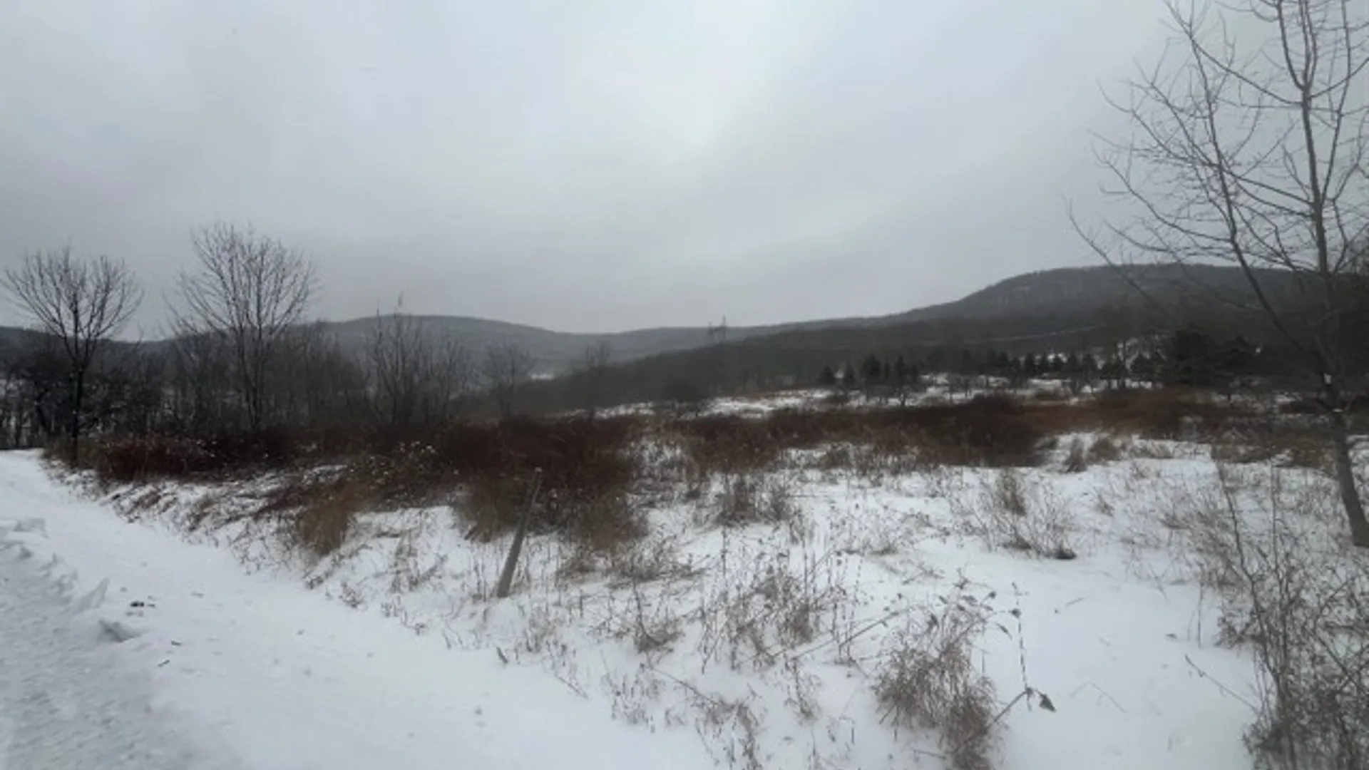 Property at Narrow Notch Road, Stamford, NY 12167 3