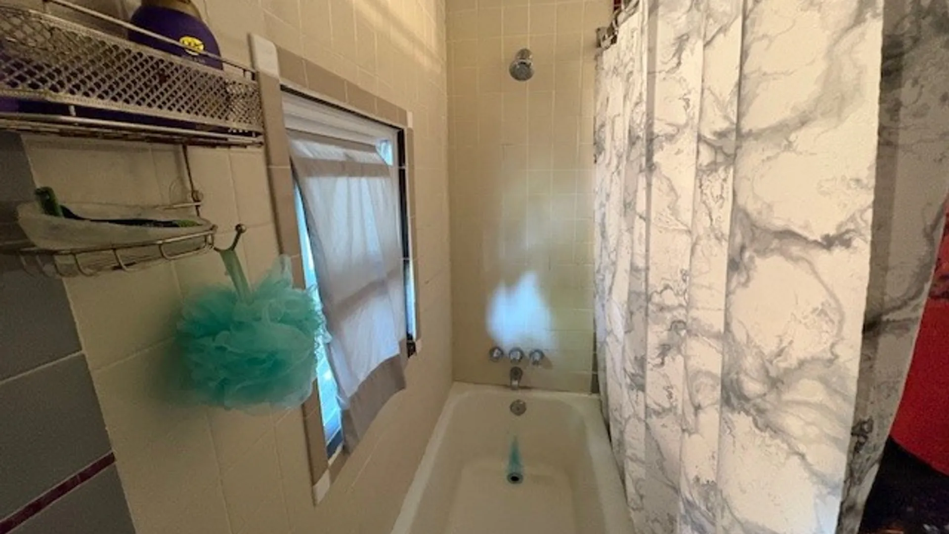 Property at 256 Avenue D, Rochester, NY 14621 22