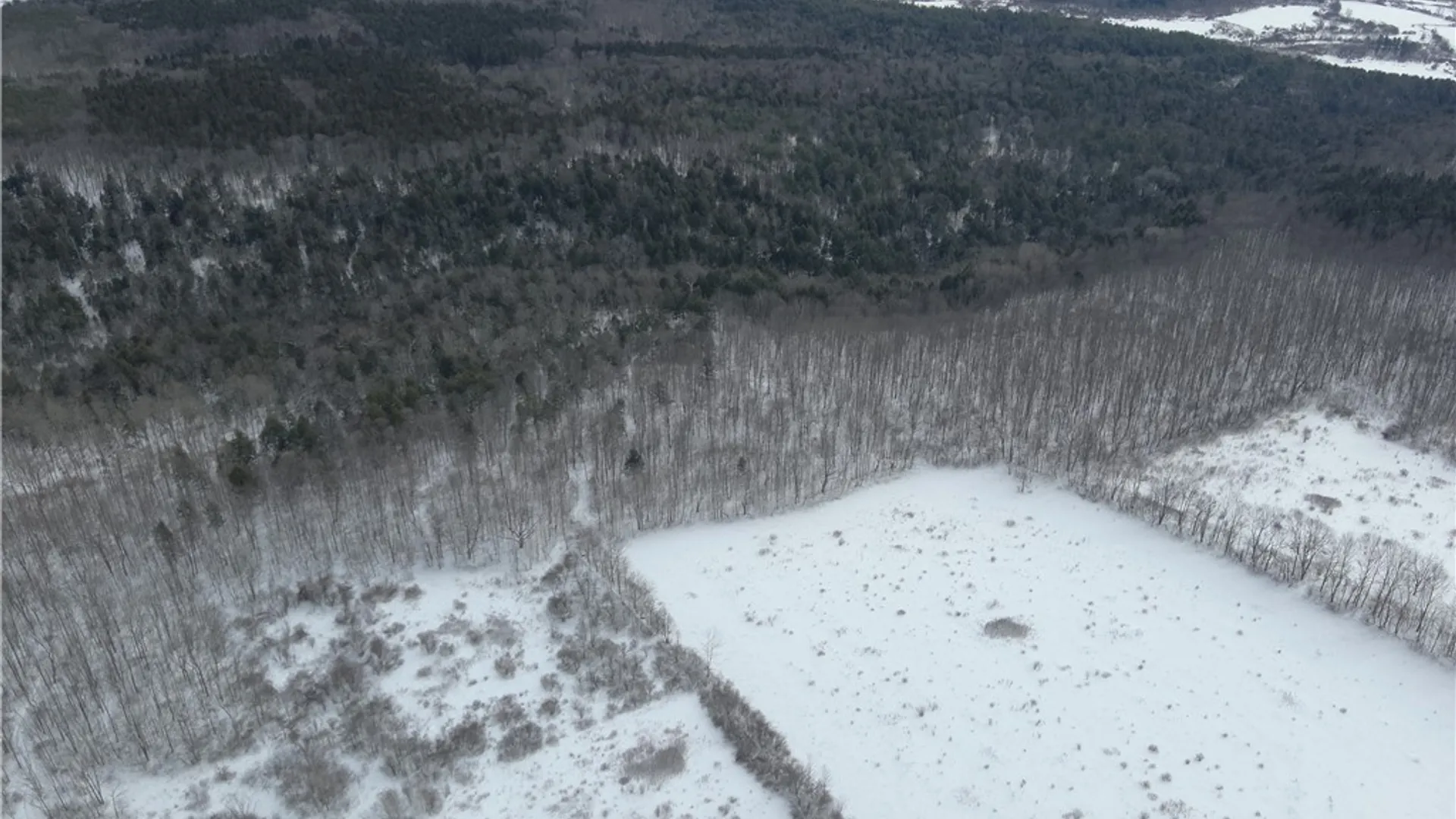 Property at 442 Roscoe Jones Road, Otsego, NY 13326 6