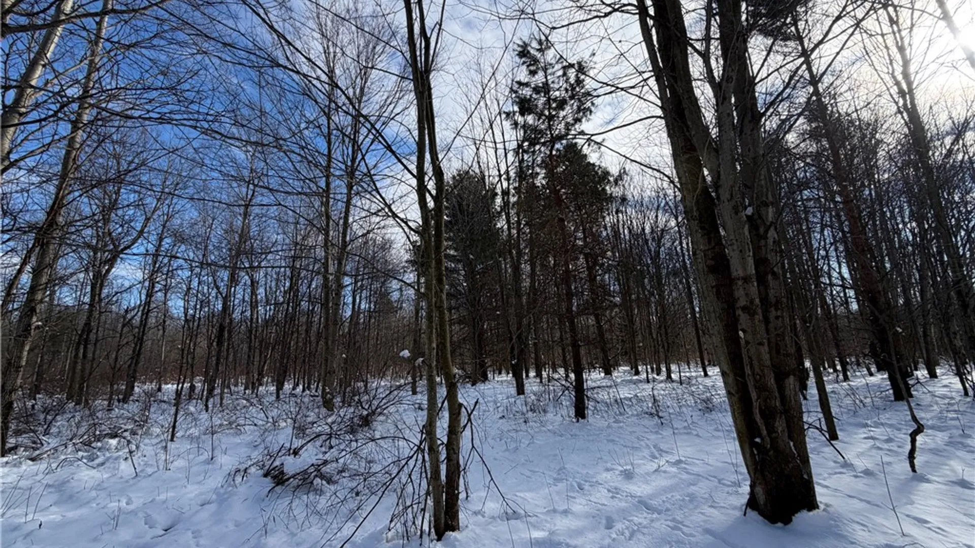 Property at New Jerusalem Road, Evans, NY 14006 10