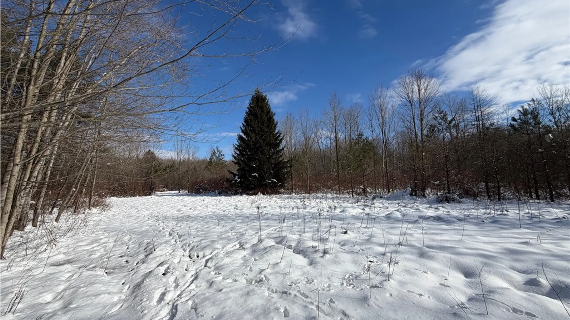 Property at New Jerusalem Road, Evans, NY 14006 2