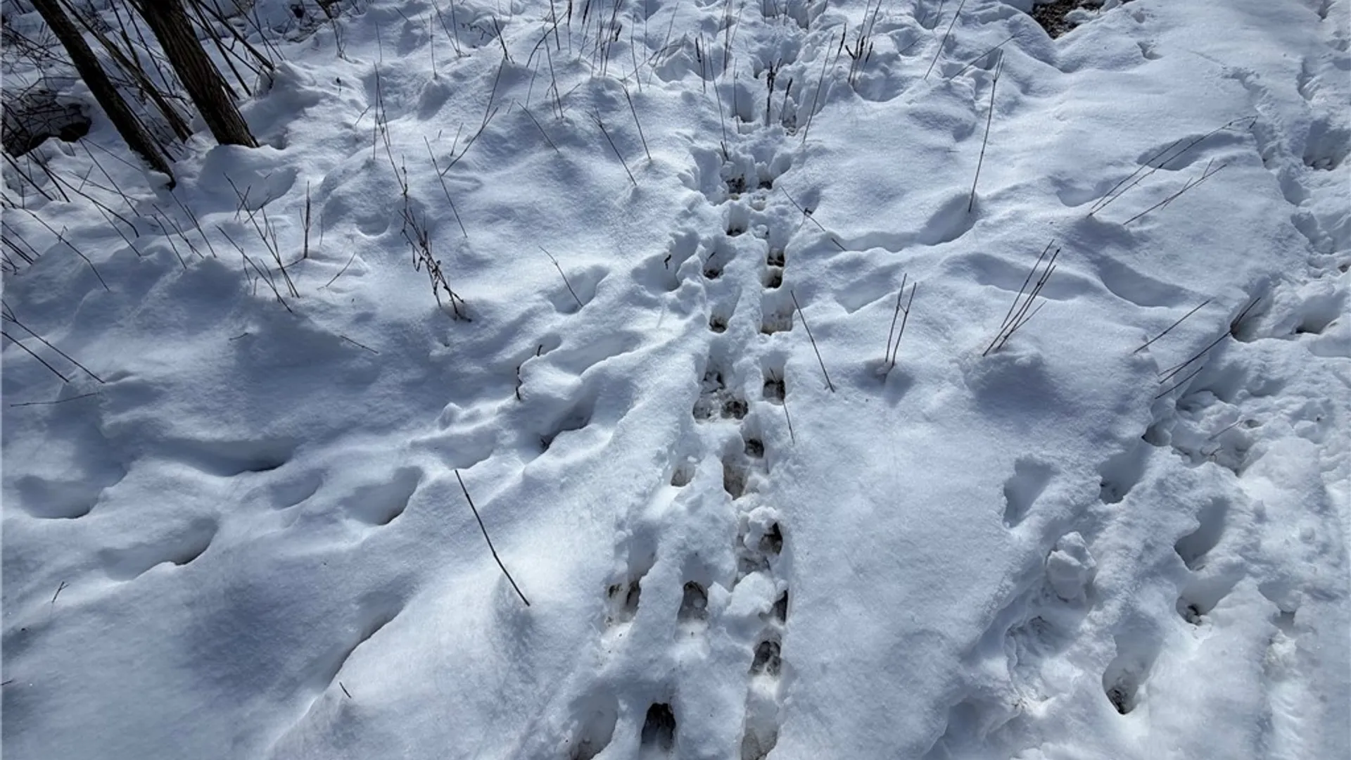 Property at New Jerusalem Road, Evans, NY 14006 4