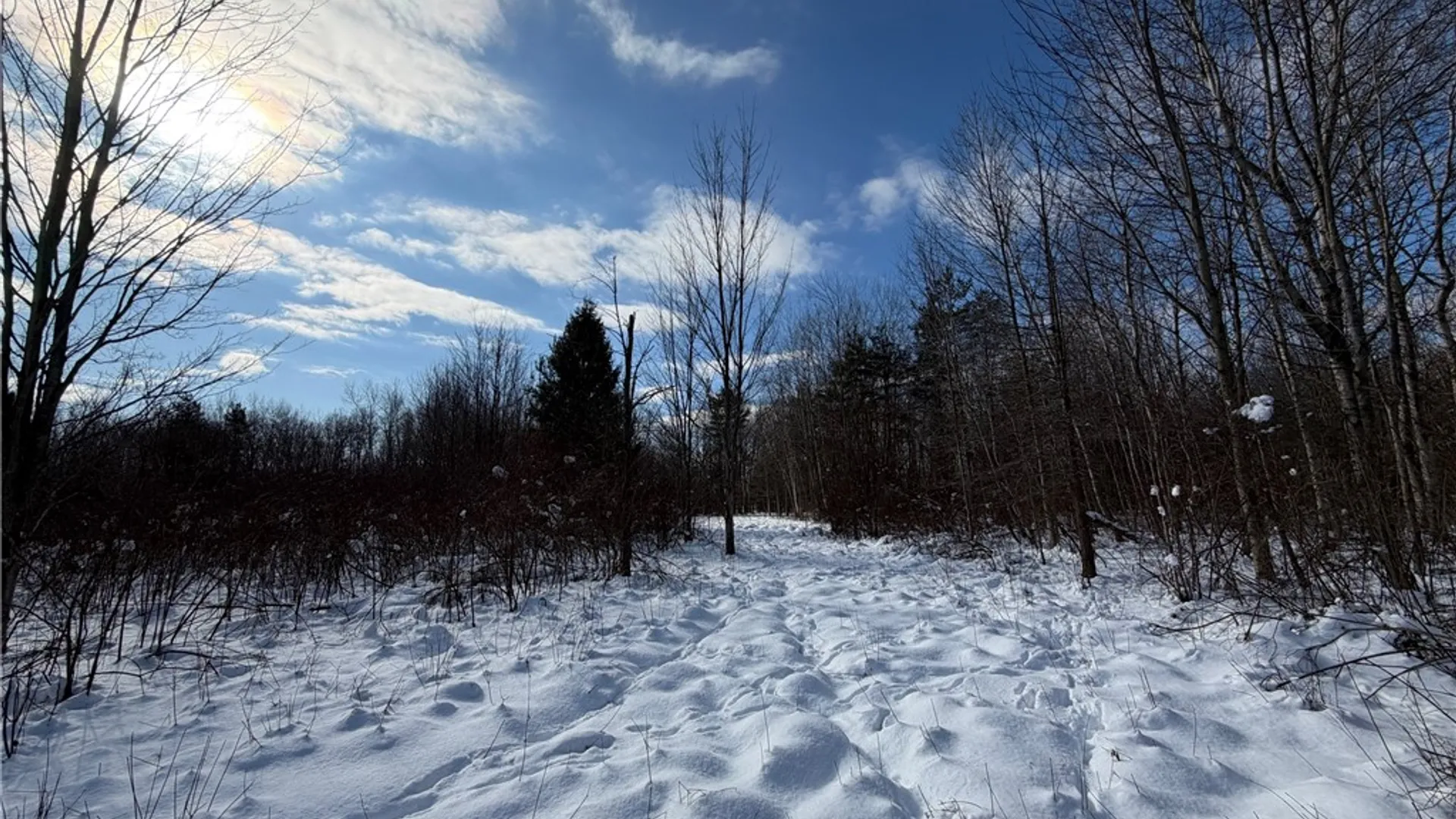 Property at New Jerusalem Road, Evans, NY 14006 7