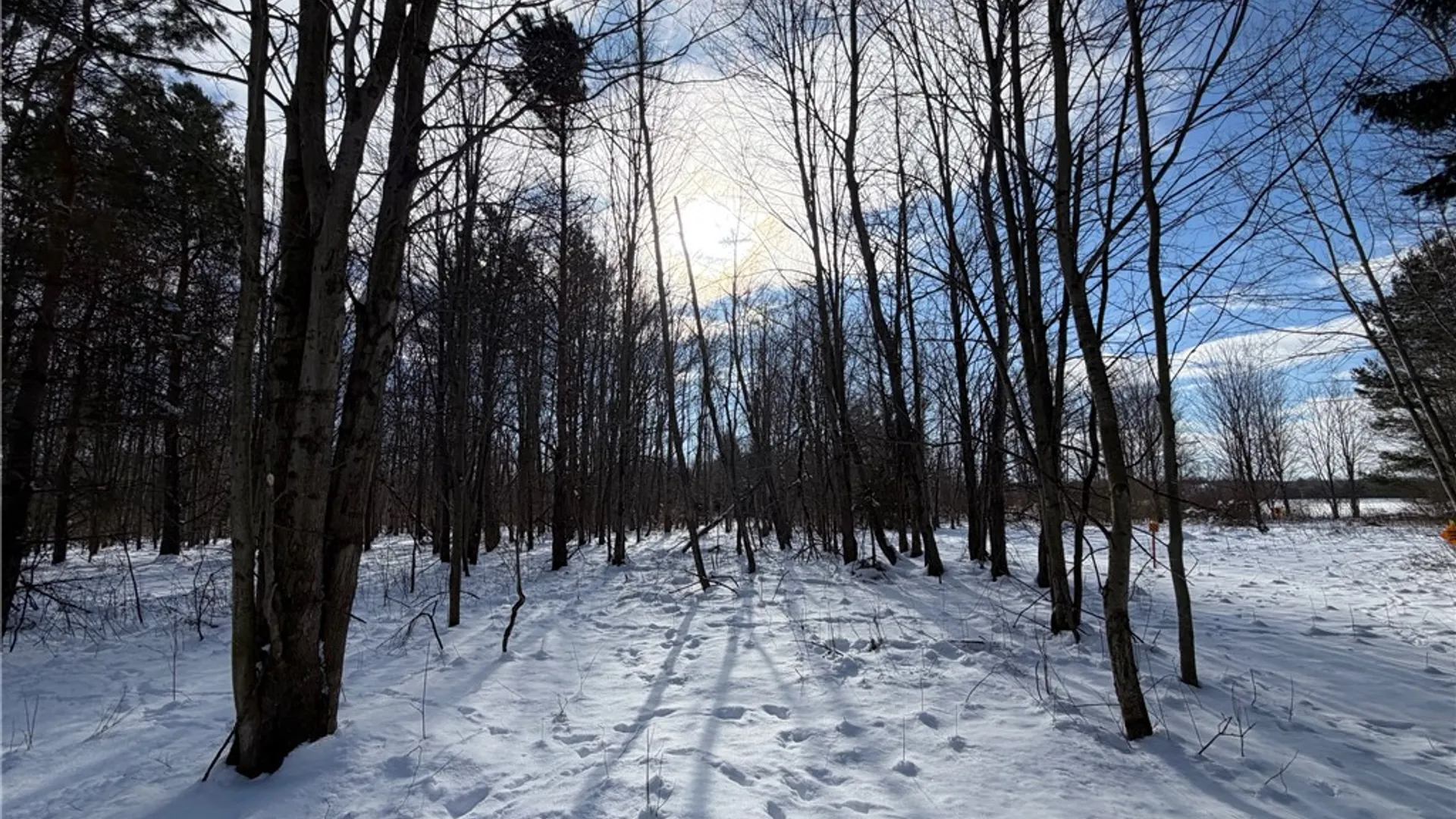 Property at New Jerusalem Road, Evans, NY 14006 8