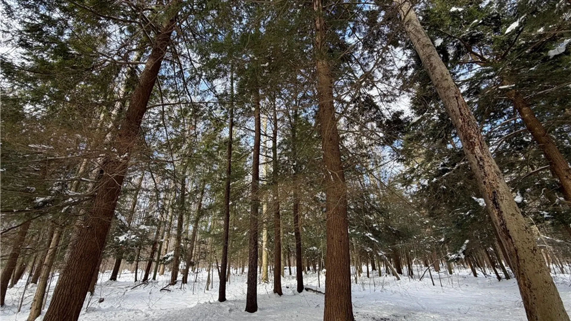 Property at Carpenter Road, Evans, NY 14006 11