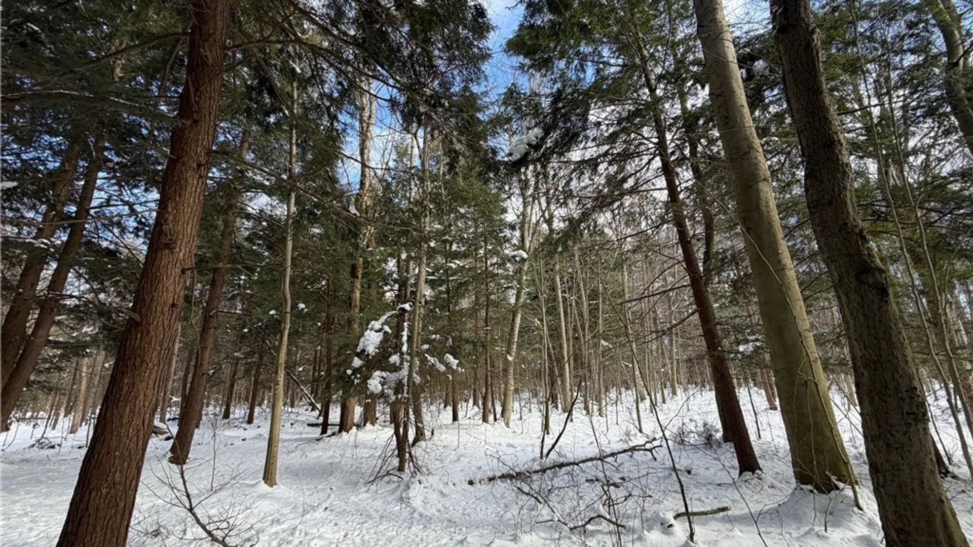 Property at Carpenter Road, Evans, NY 14006 12