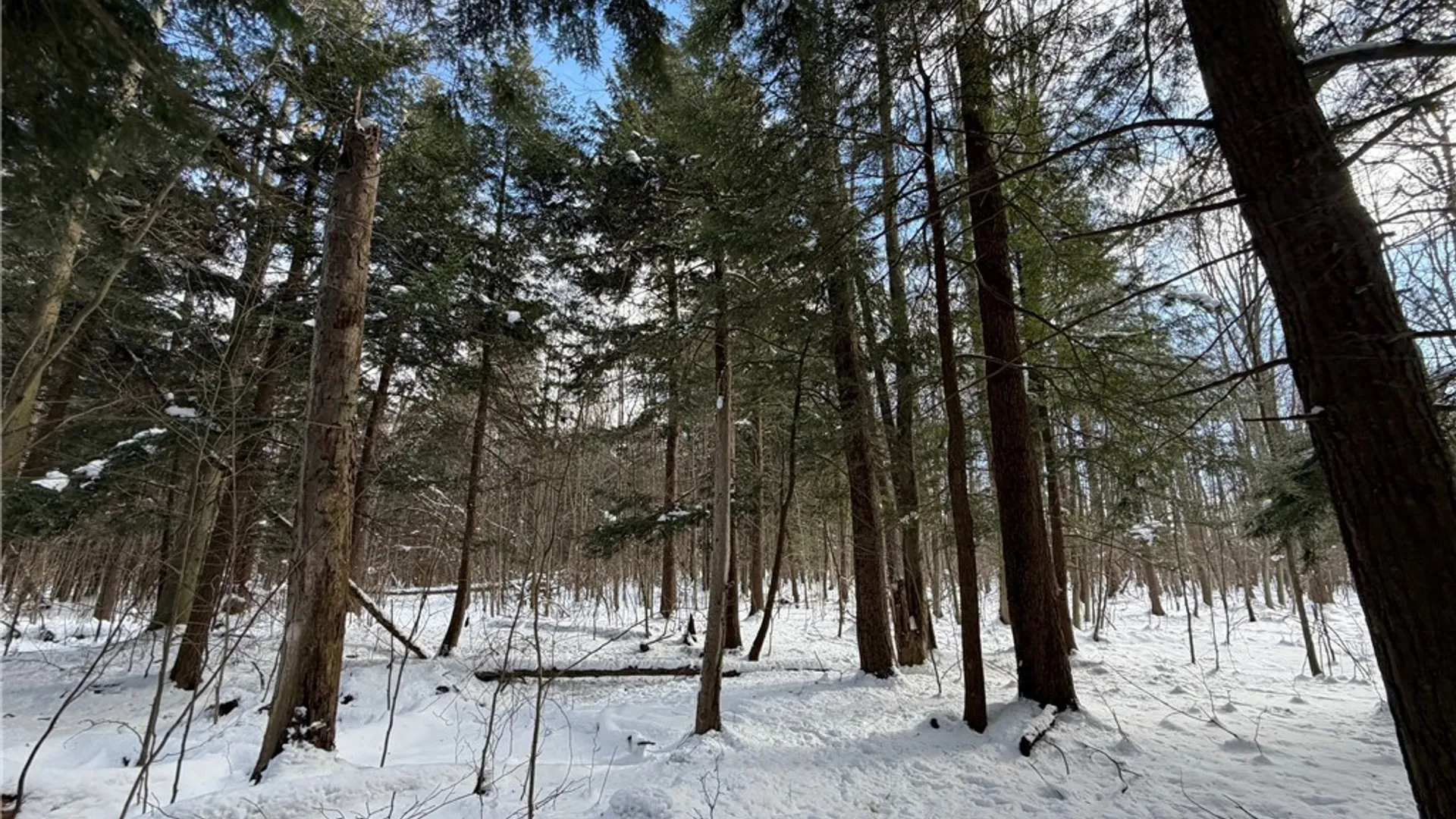 Property at Carpenter Road, Evans, NY 14006 13