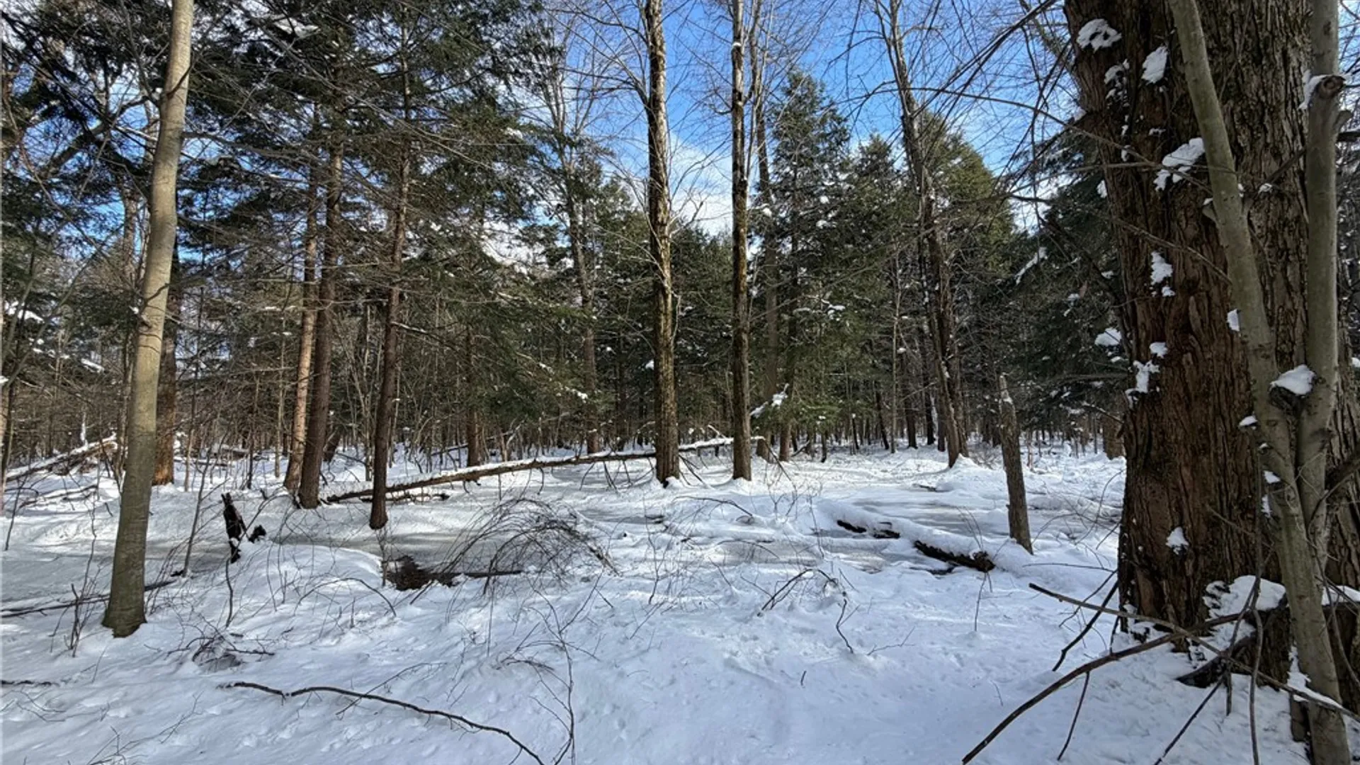 Property at Carpenter Road, Evans, NY 14006 14