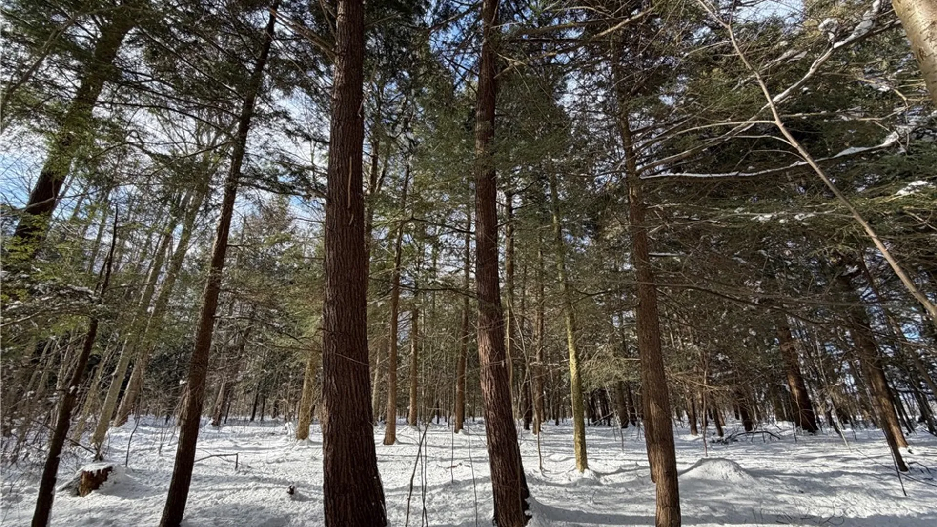 Property at Carpenter Road, Evans, NY 14006 15