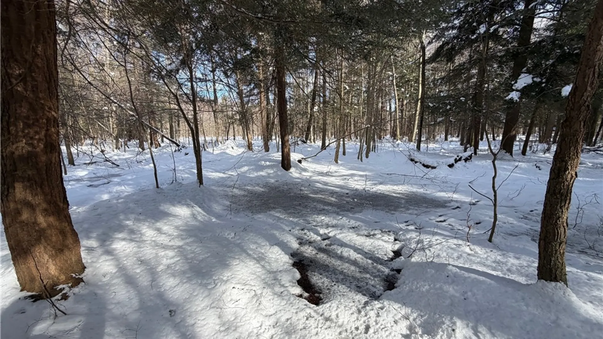 Property at Carpenter Road, Evans, NY 14006 16