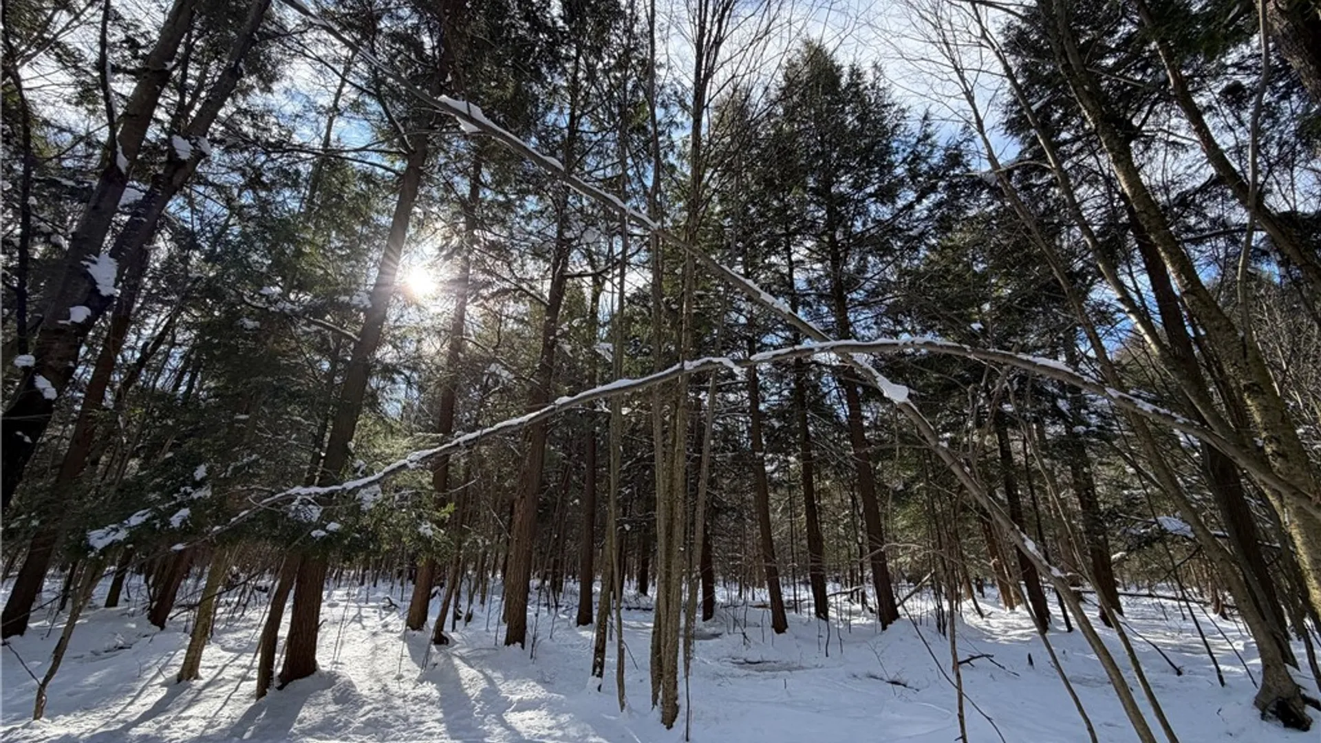 Property at Carpenter Road, Evans, NY 14006 17