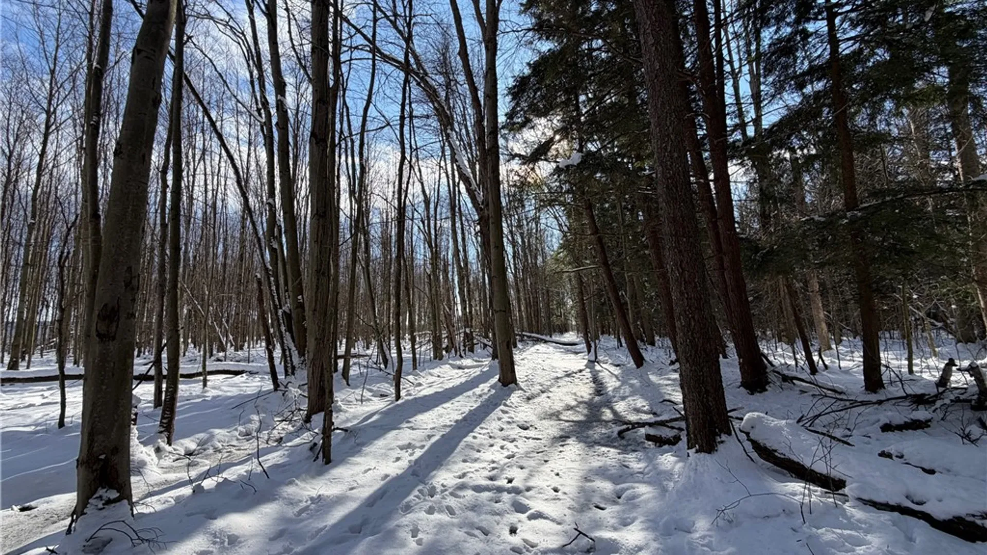 Property at Carpenter Road, Evans, NY 14006 18