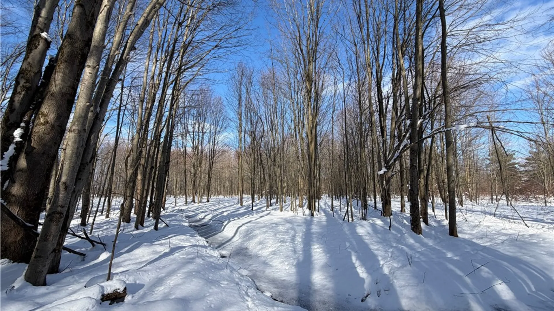 Property at Carpenter Road, Evans, NY 14006 19