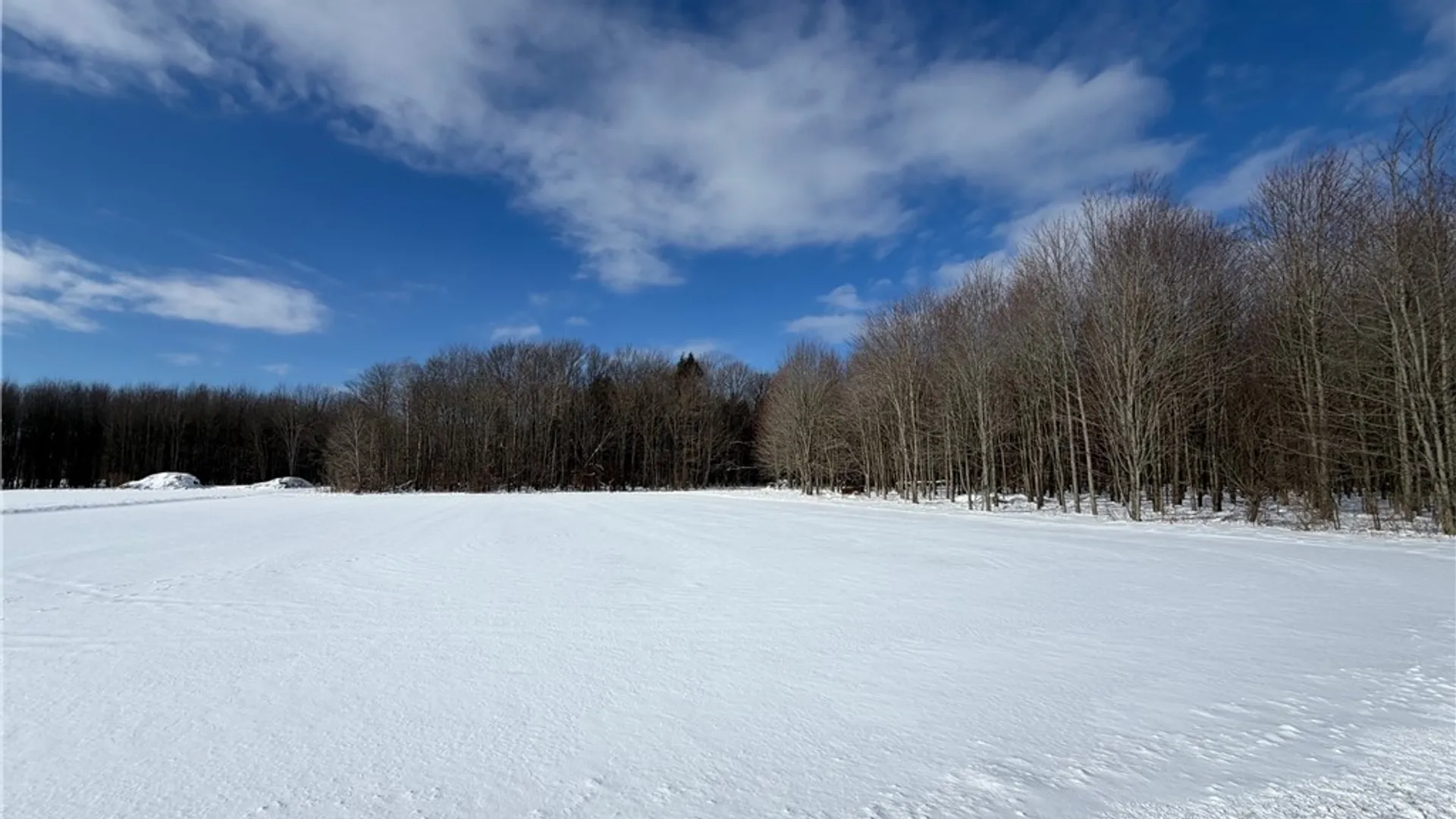 Property at Carpenter Road, Evans, NY 14006 2