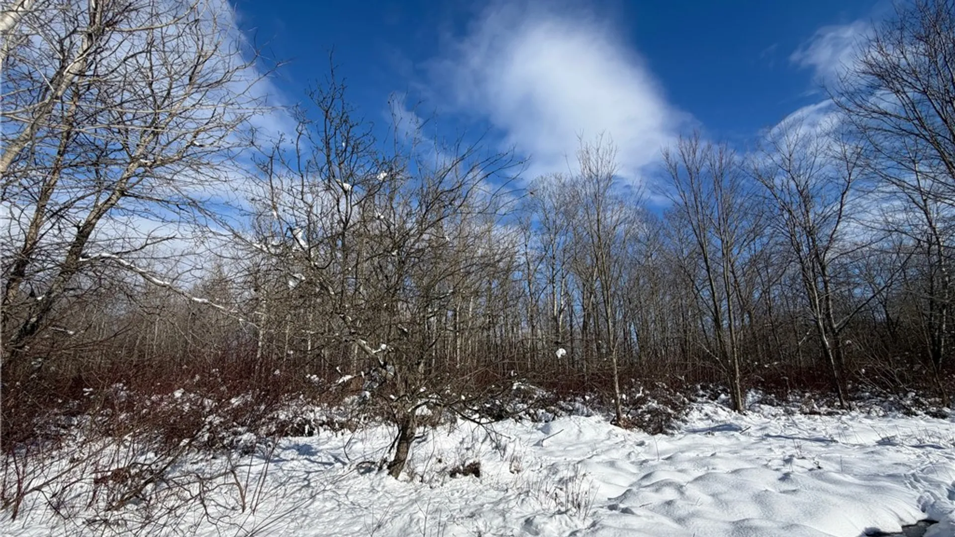 Property at Carpenter Road, Evans, NY 14006 21