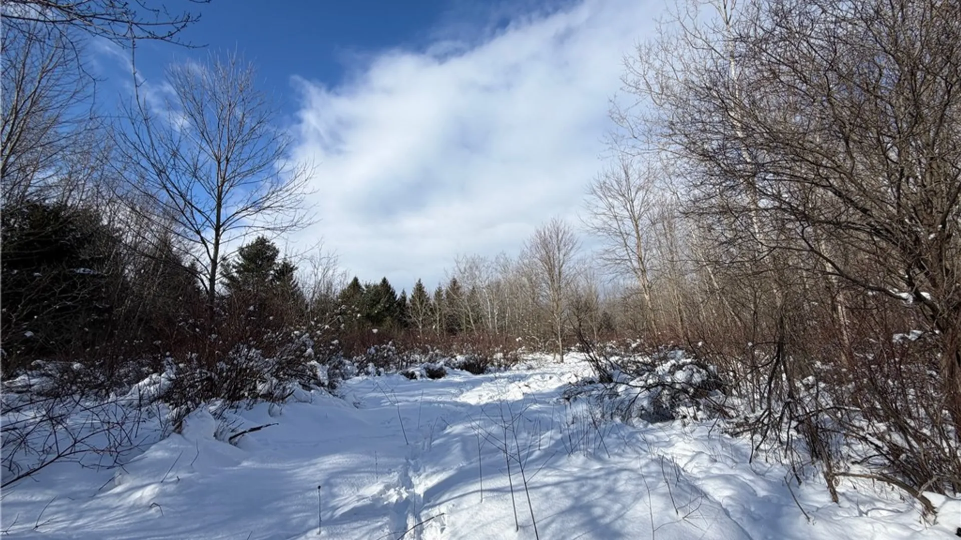 Property at Carpenter Road, Evans, NY 14006 22