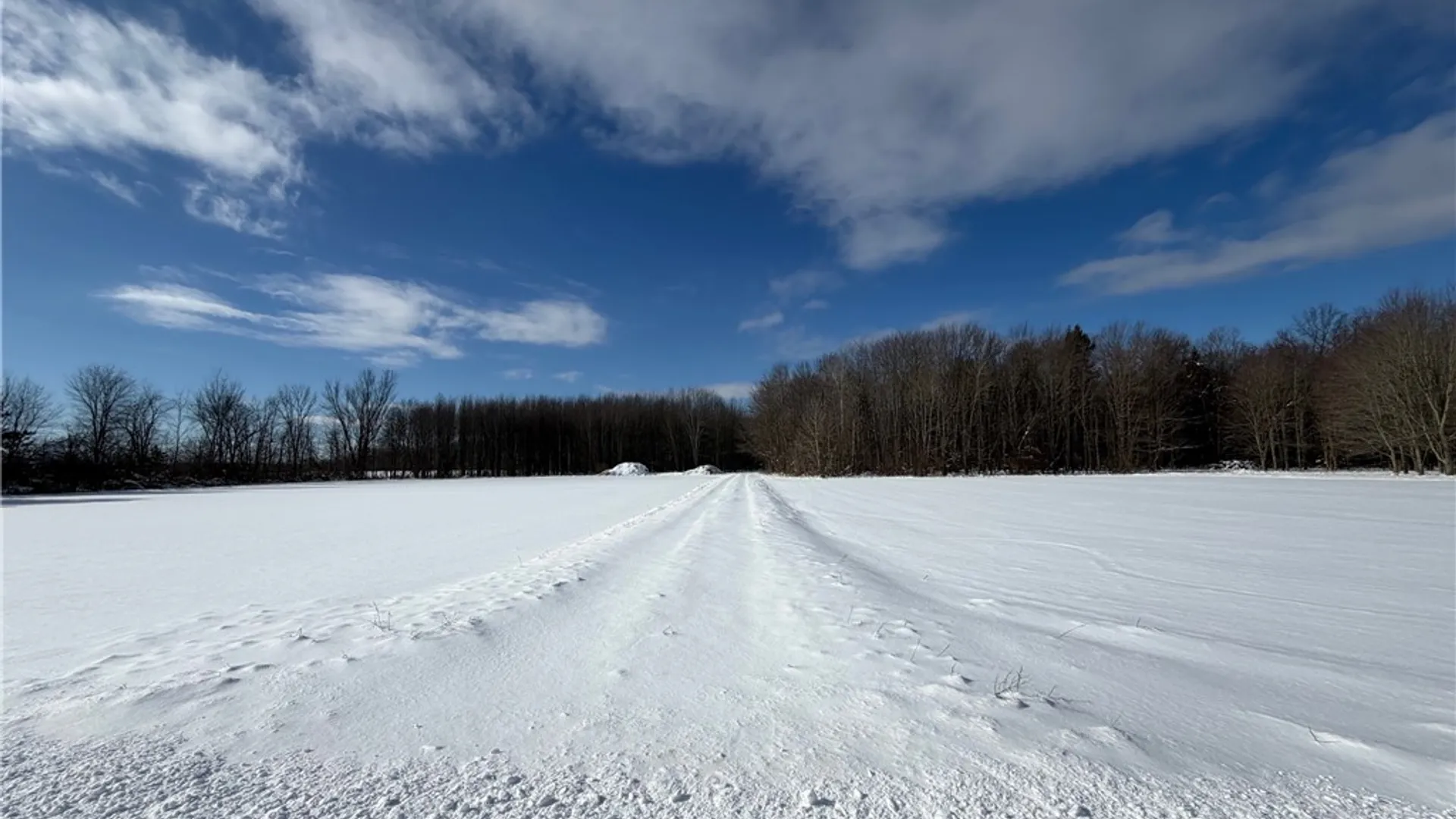 Property at Carpenter Road, Evans, NY 14006 3