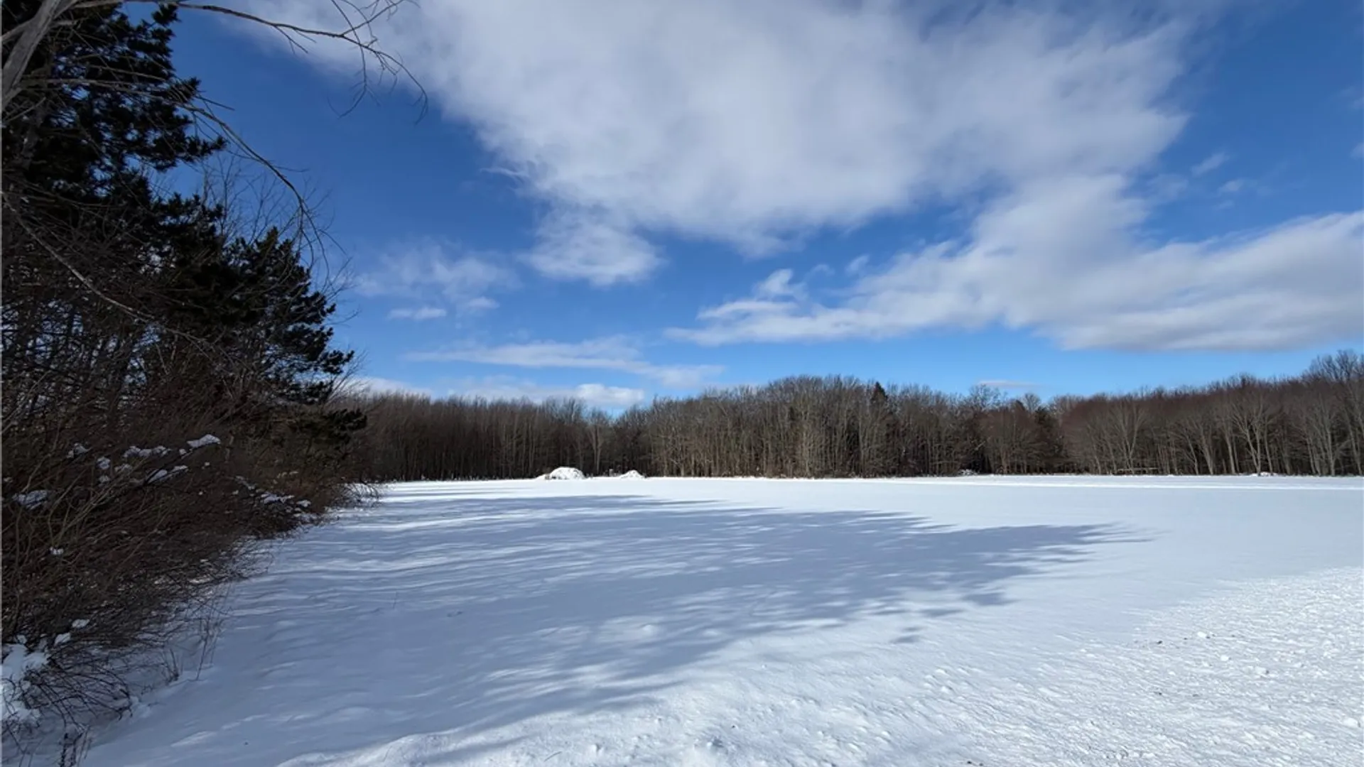 Property at Carpenter Road, Evans, NY 14006 5