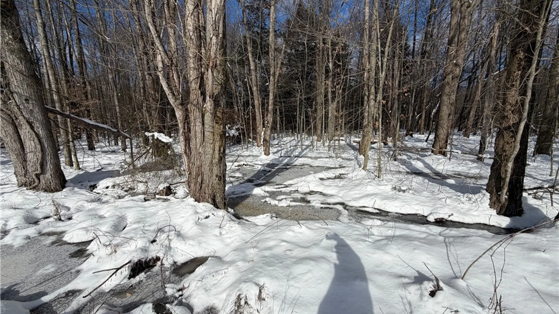 Property at Carpenter Road, Evans, NY 14006 8