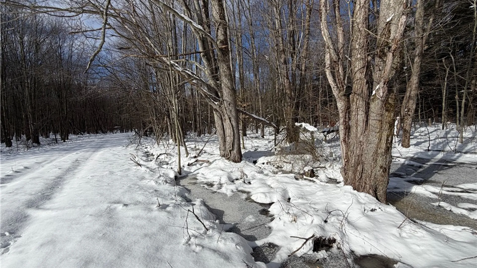 Property at Carpenter Road, Evans, NY 14006 9