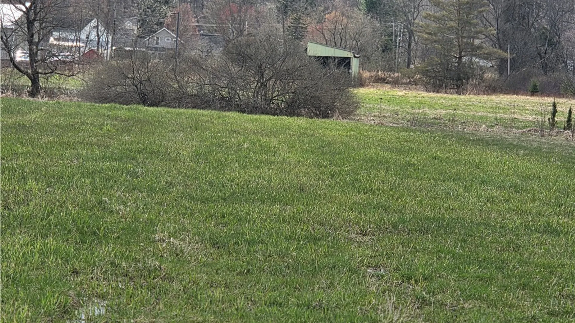 Property at 14 Fillmore Avenue, Ellicottville, NY 14731 4