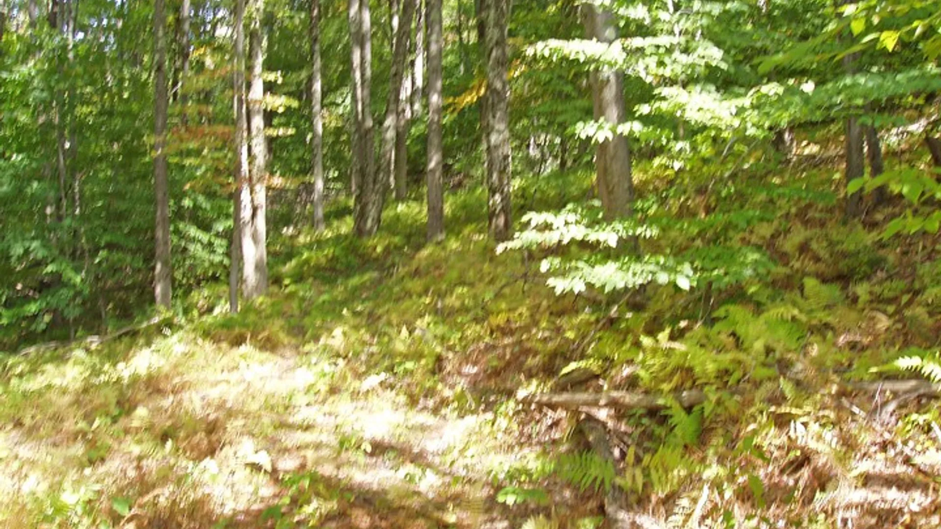 Property at Lot #28 Timberland Drive, Andes, NY 13731 2