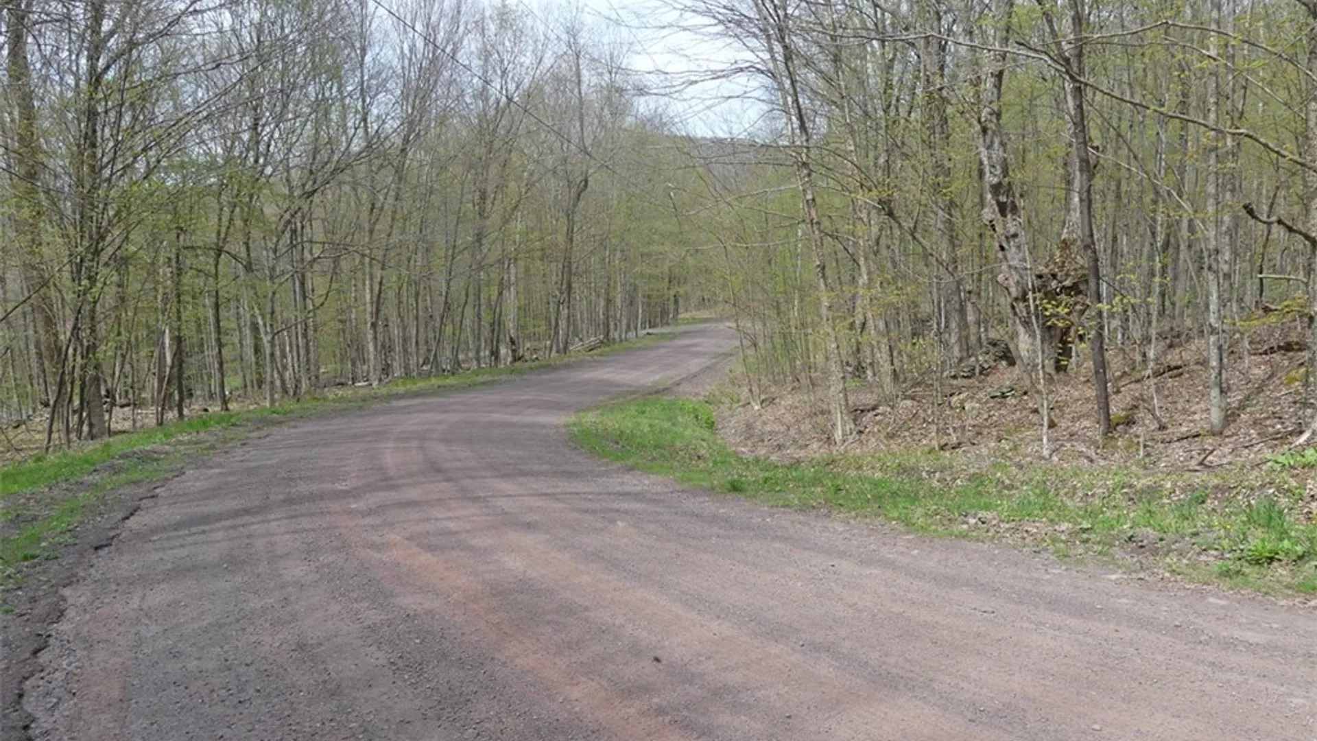 Property at Lot #28 Timberland Drive, Andes, NY 13731 3