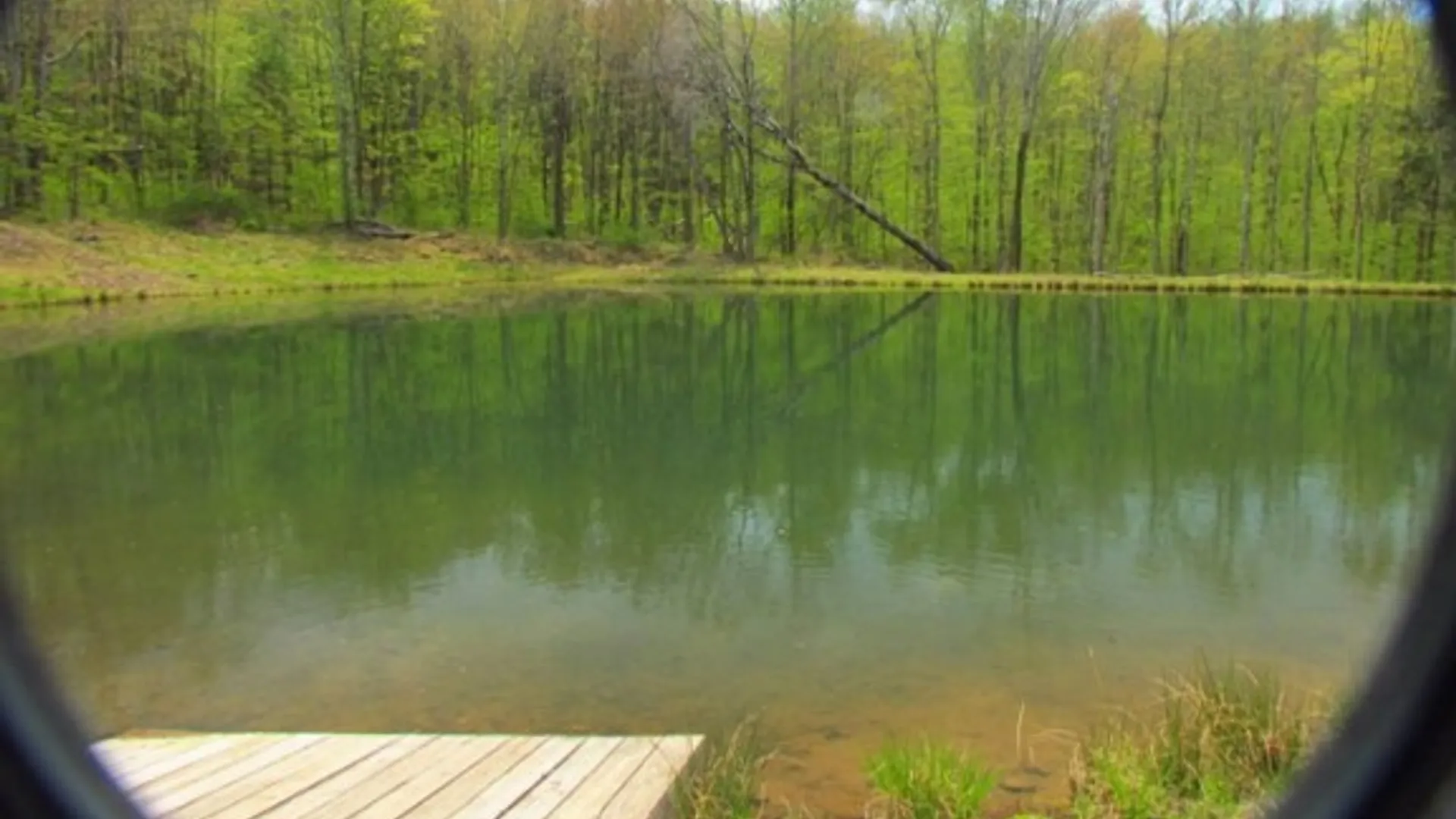 Property at McCarthy Lane, Butternuts, NY 13776 3