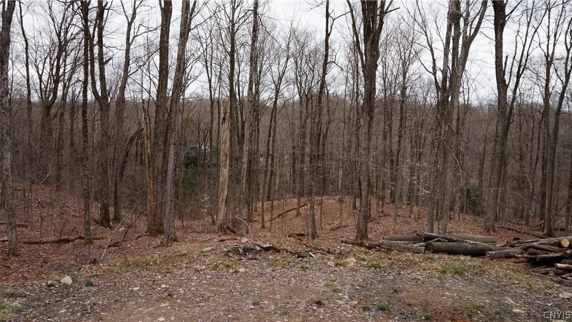Property at 55 Pennock Brook Drive, Orwell, NY 13144 28