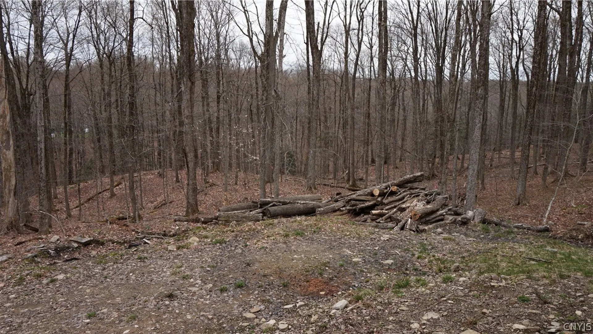 Property at 55 Pennock Brook Drive, Orwell, NY 13144 29