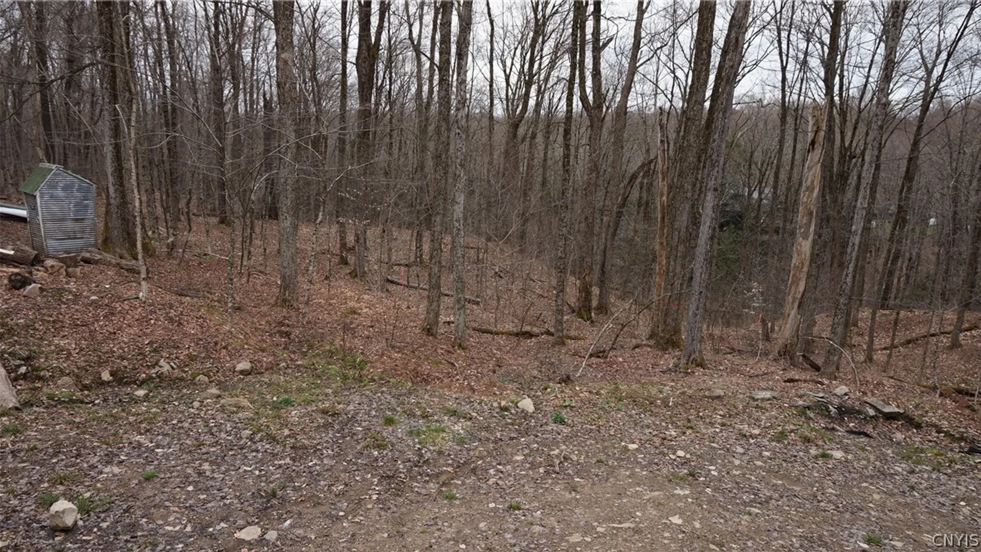 Property at 55 Pennock Brook Drive, Orwell, NY 13144 30
